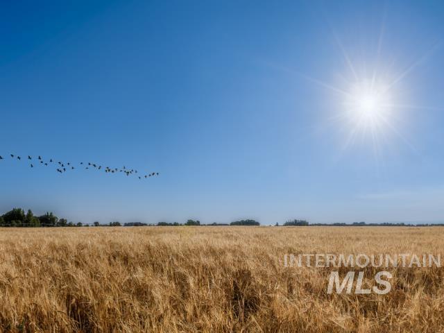 View of local wilderness featuring rural landscape
