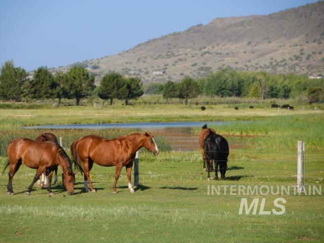 Stable featuring a view of rural / pastoral area and a mountain view