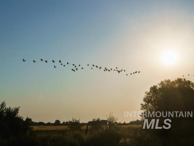 Nature at dusk featuring a view of countryside