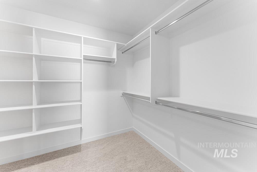 Spacious closet with carpet floors