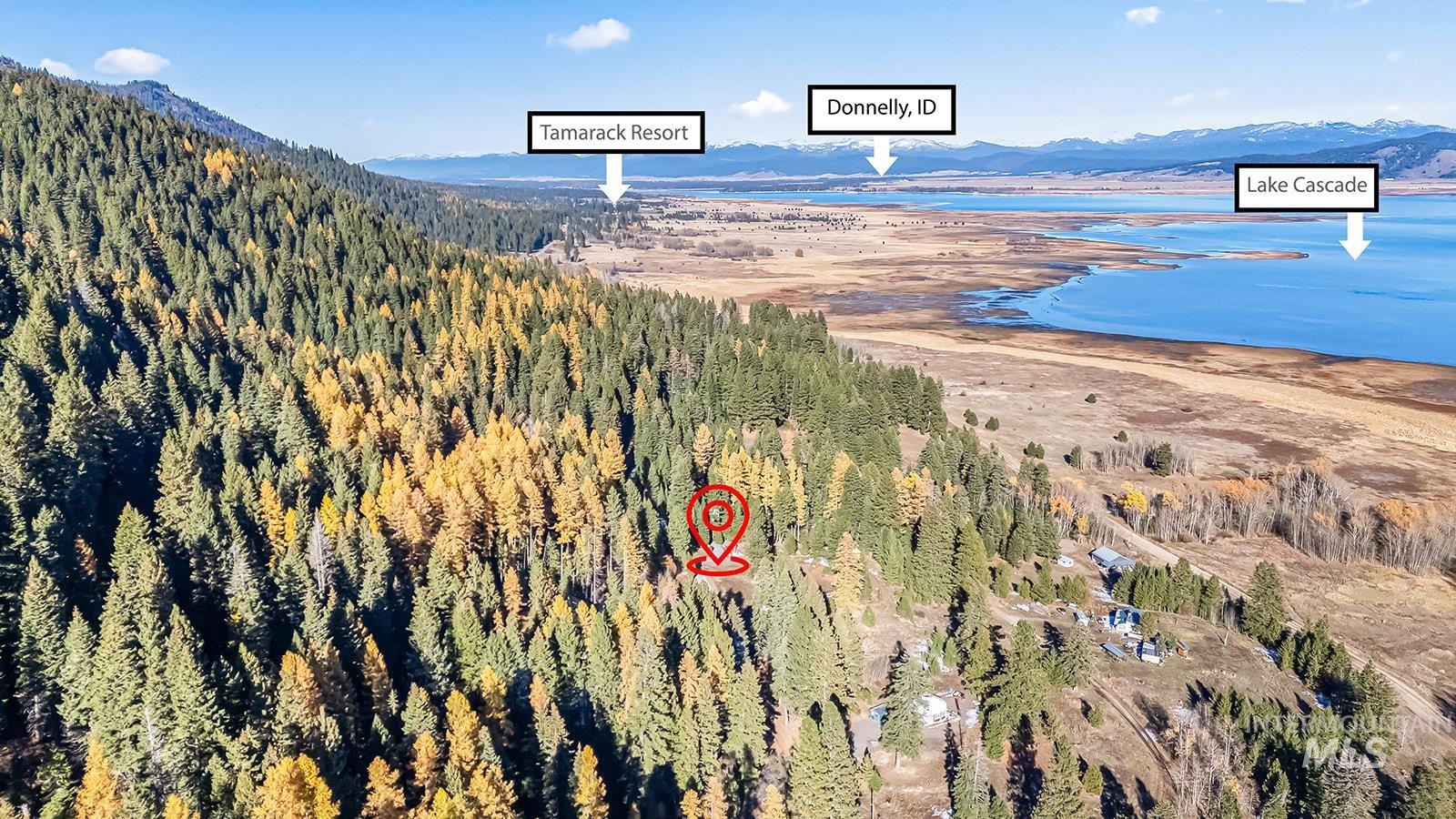 Bird's eye view of mountains and a forest