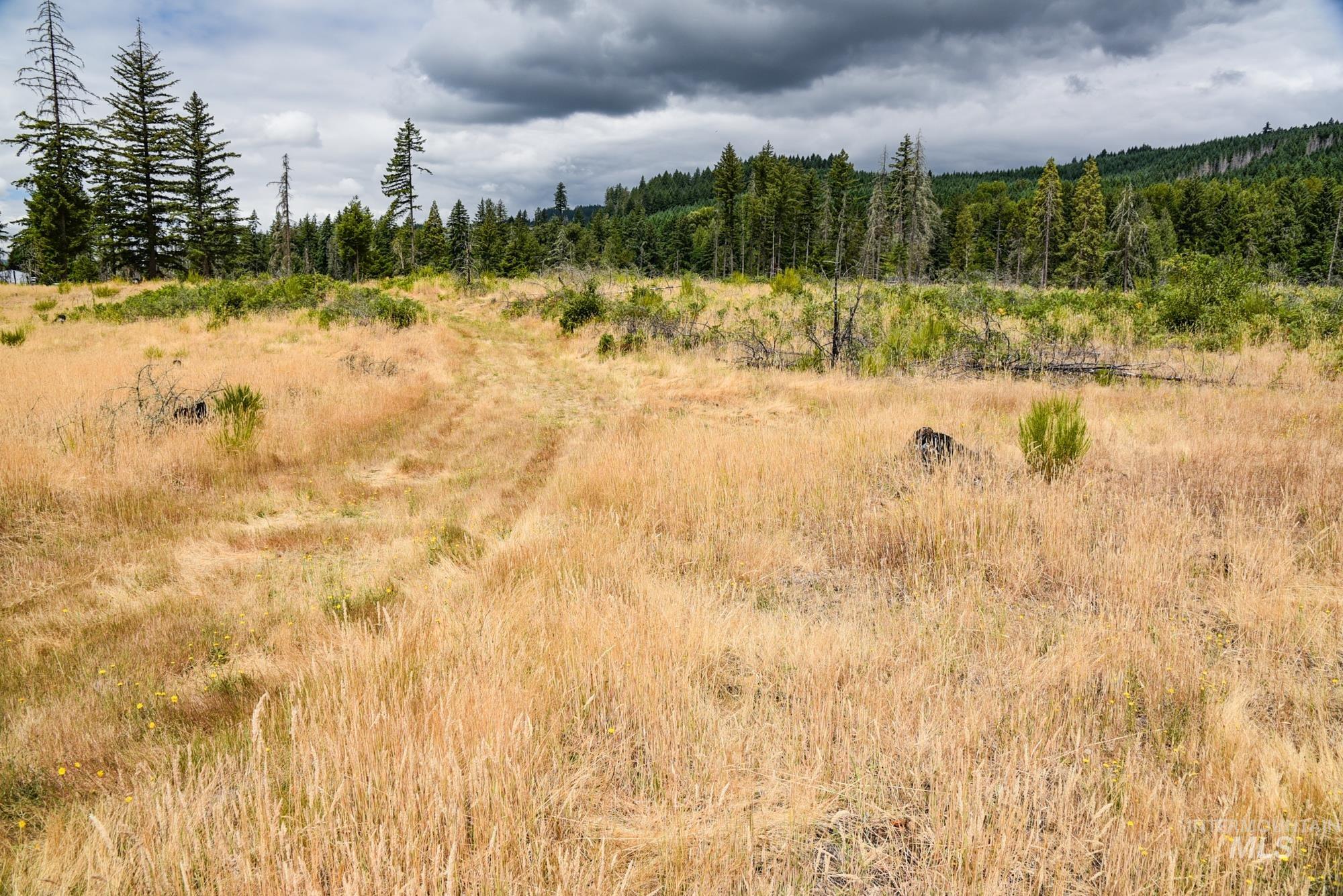 View of wooded area featuring a rural view