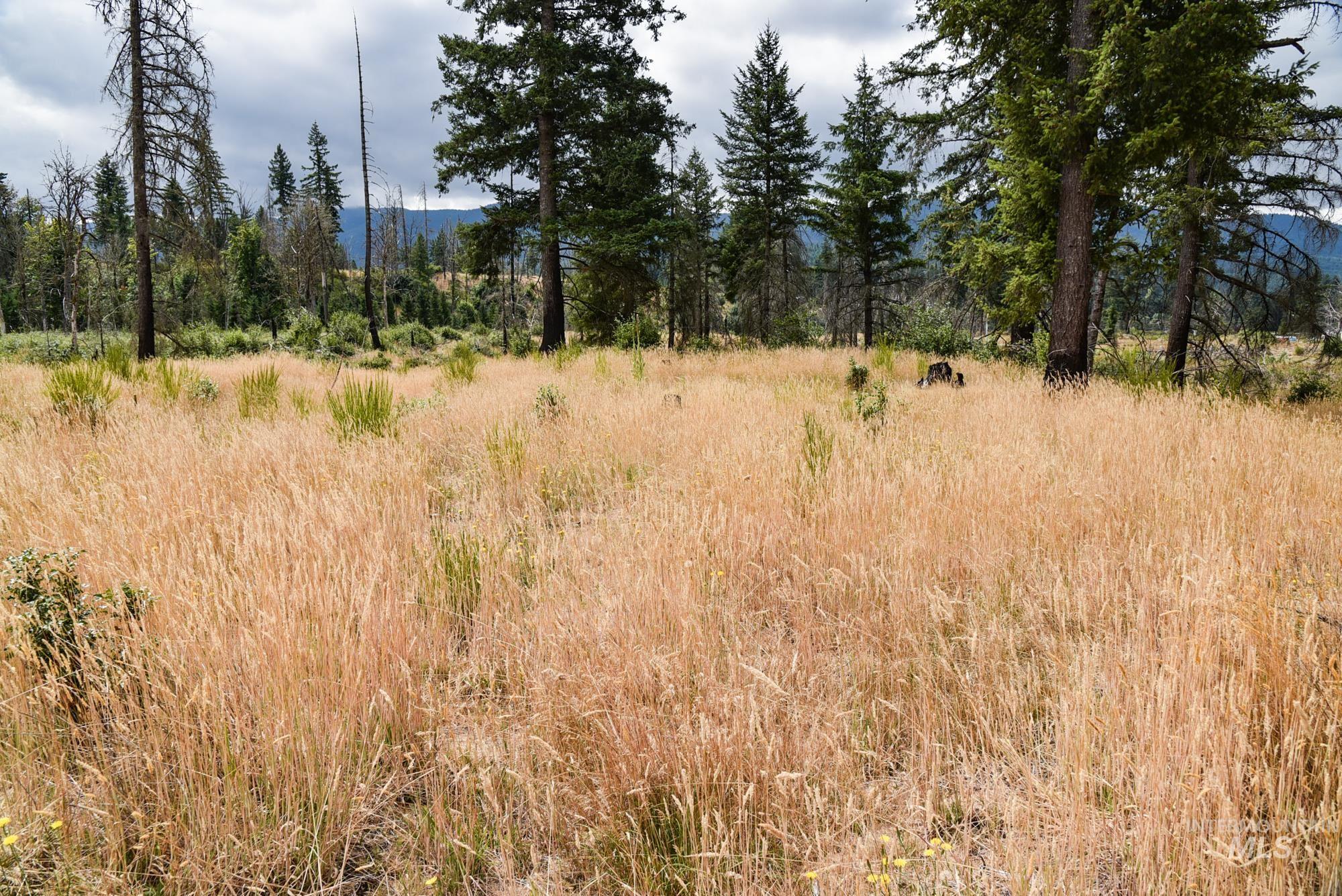 View of undeveloped land