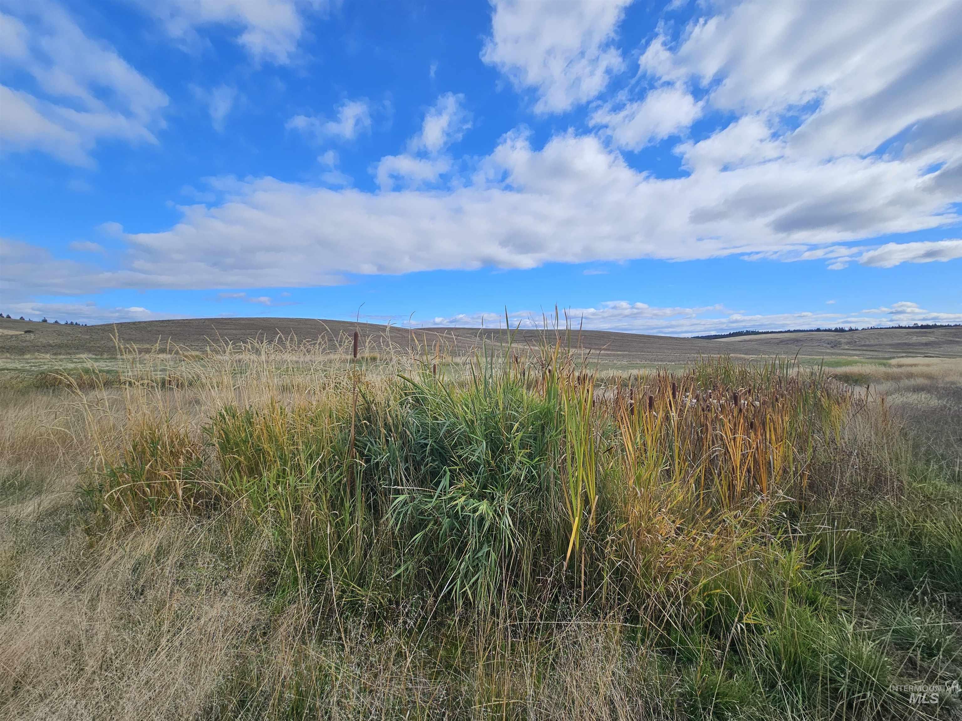 TBD Brown Rd, Parcel 2