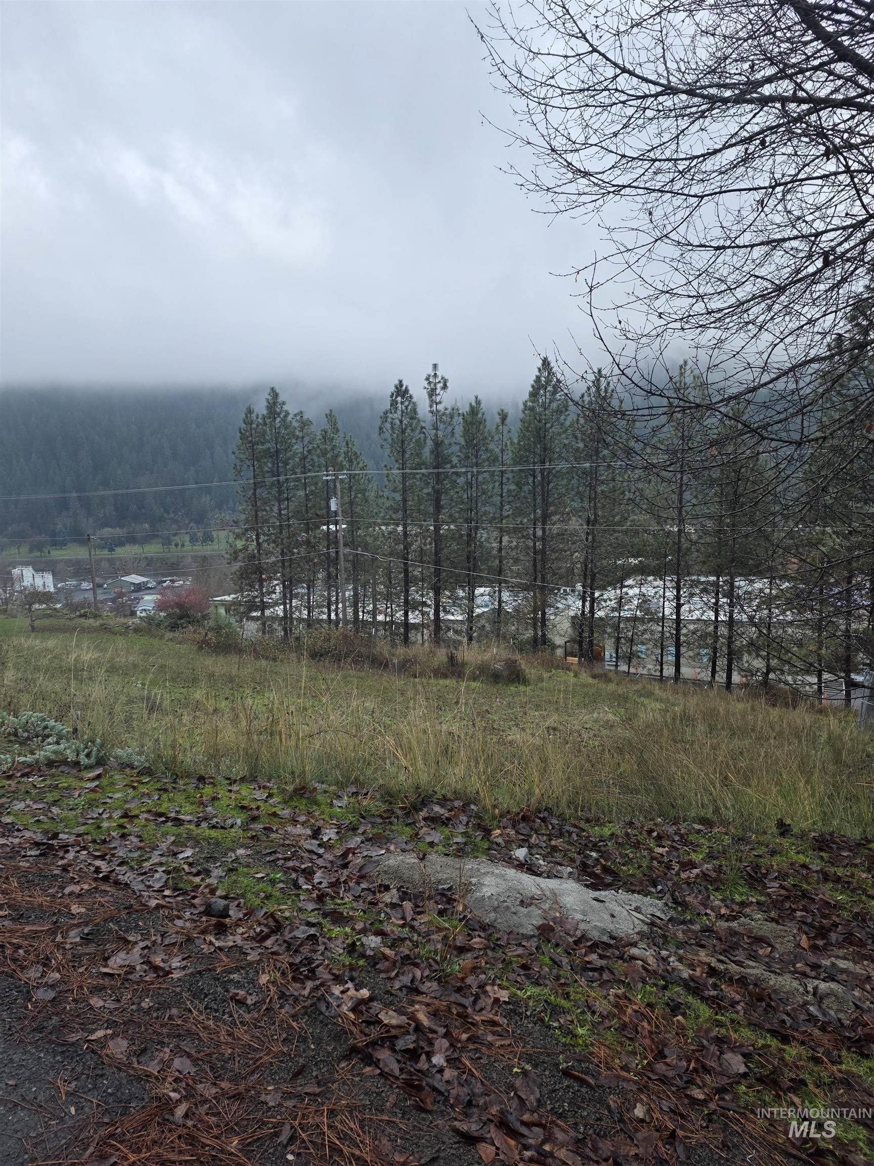 804 Pine Drive Heights