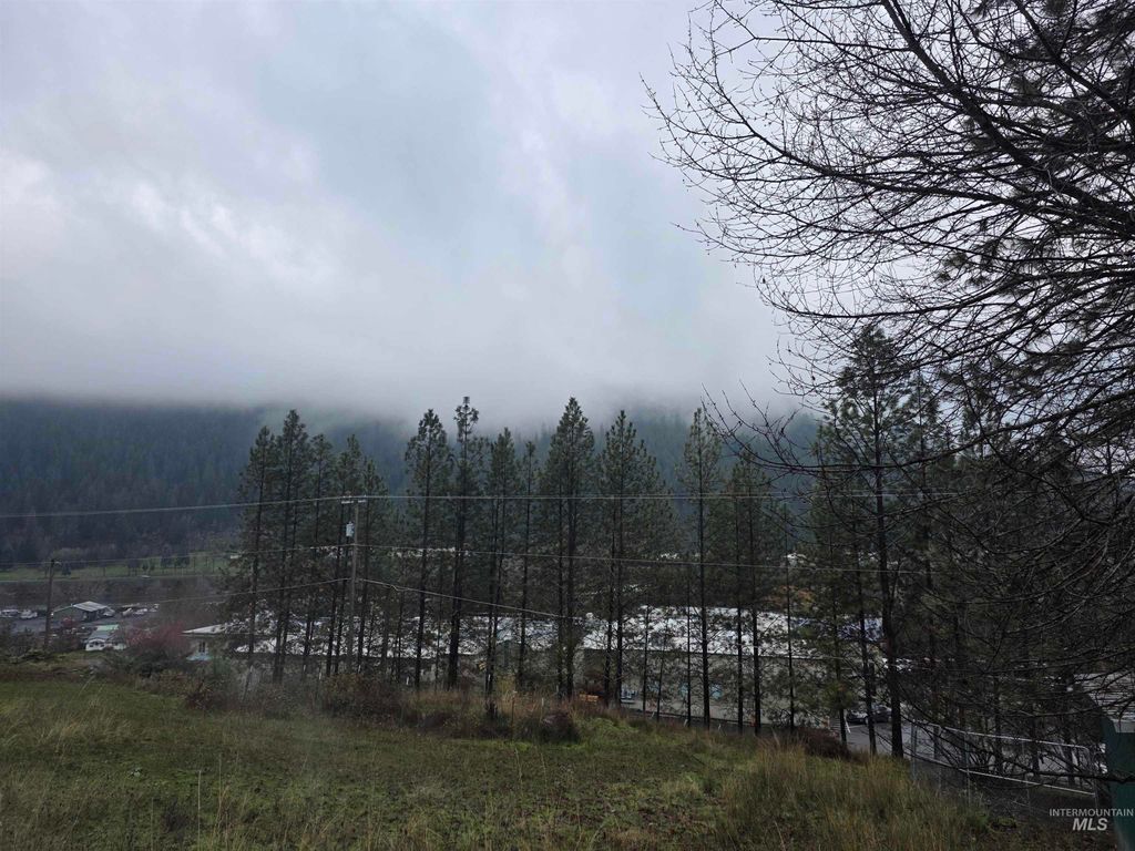 Photo of 804 Pine Drive Heights, Orofino, ID 83544 (MLS # 98968892)