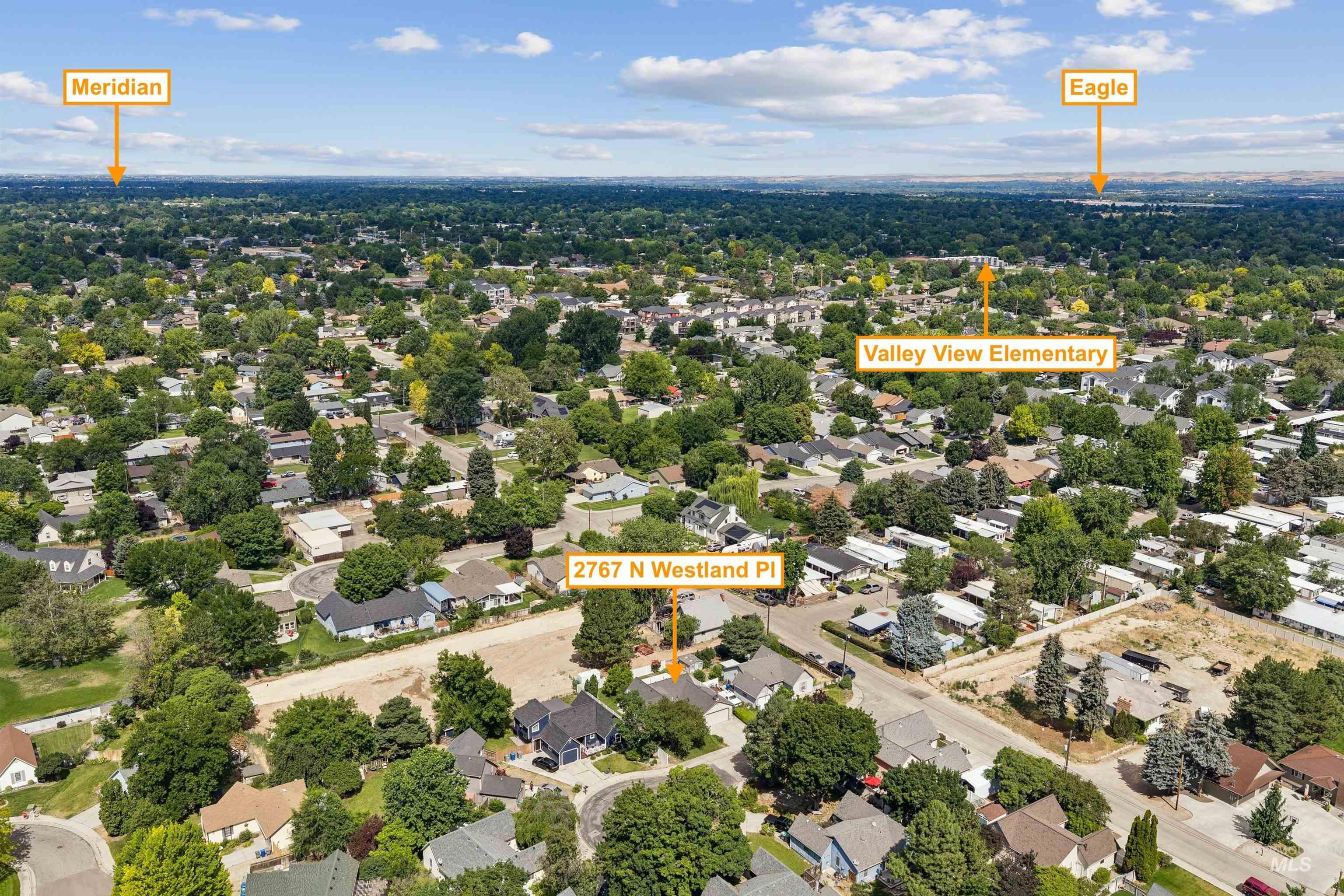 Aerial perspective of a residential neighborhood with mature tree coverage