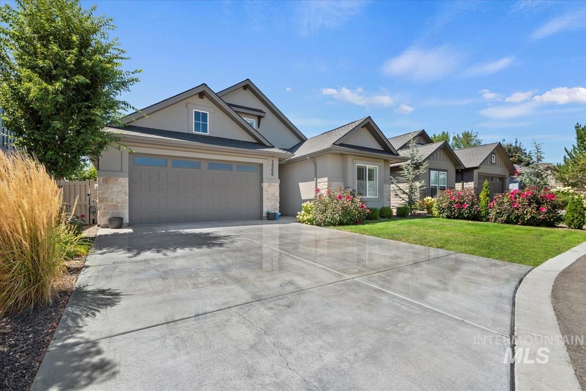 12255 S Red Shouldered Hawk