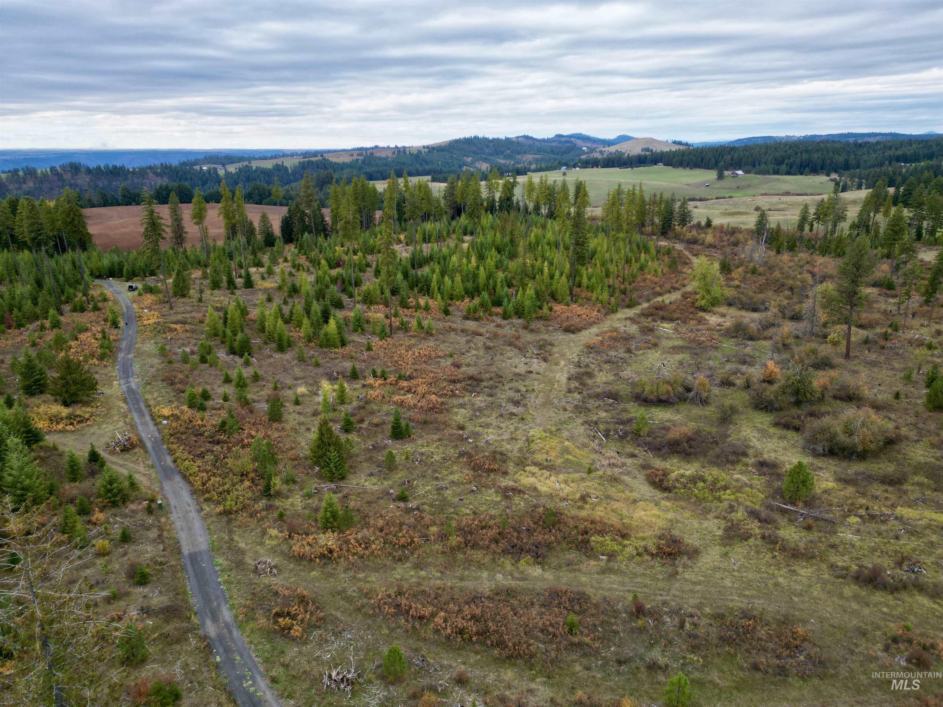 TBD Parcel 3 Peaceful Valley Rd.