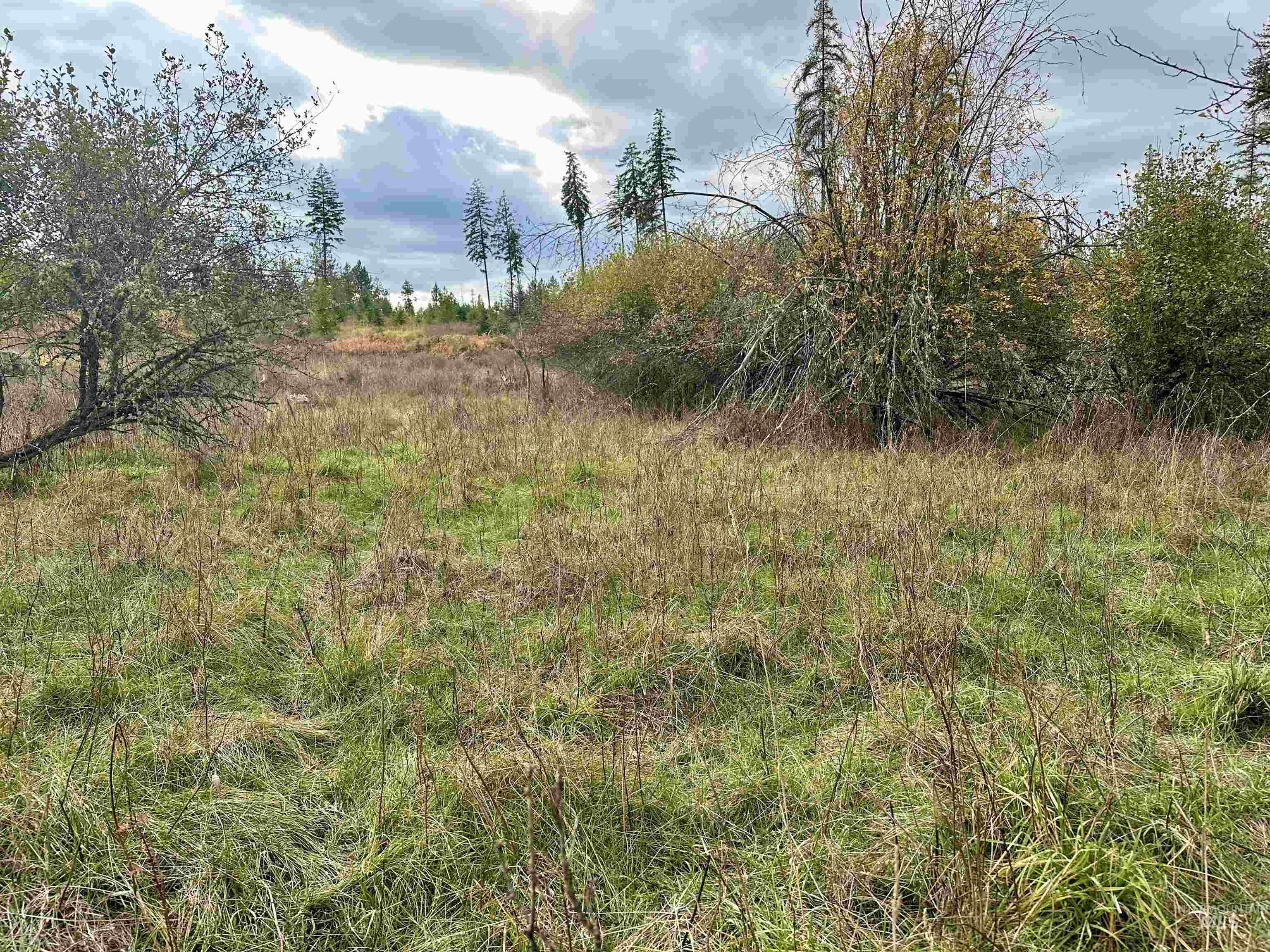 TBD Parcel 3 Peaceful Valley Rd.