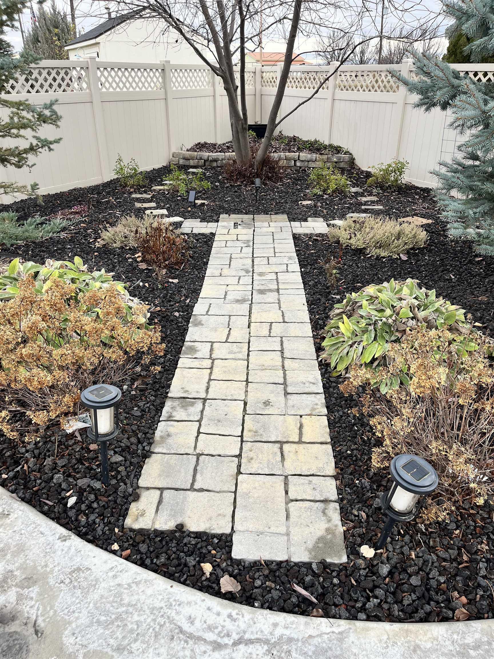 View of fenced backyard