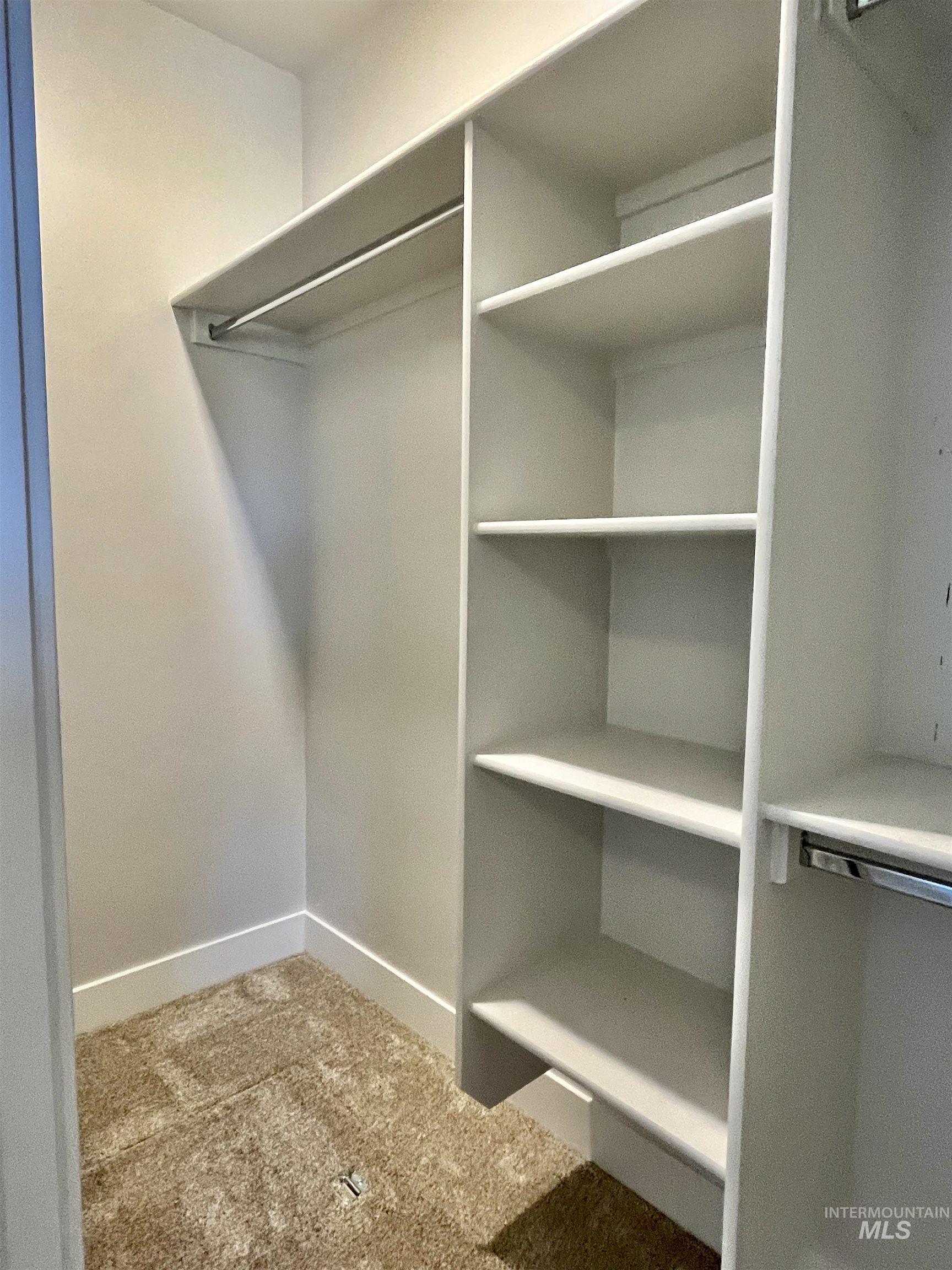 Walk in closet featuring carpet flooring