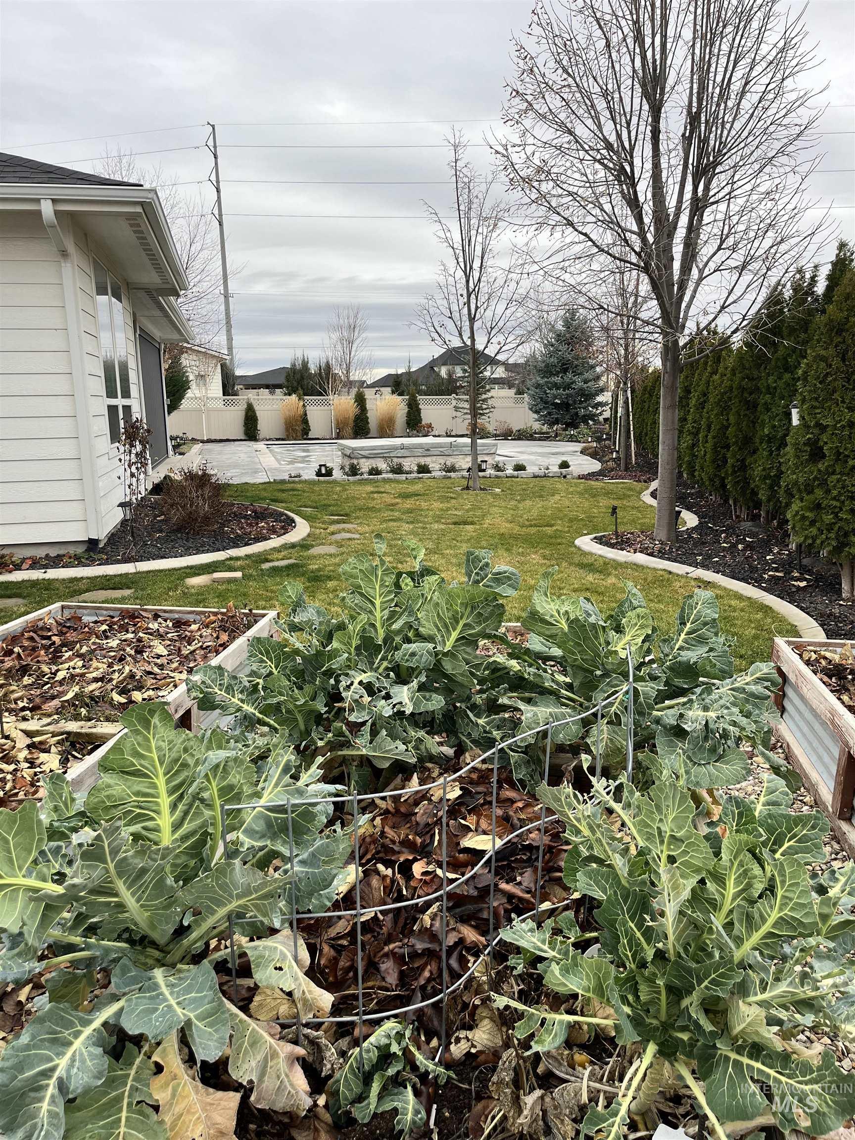 View of yard featuring a garden