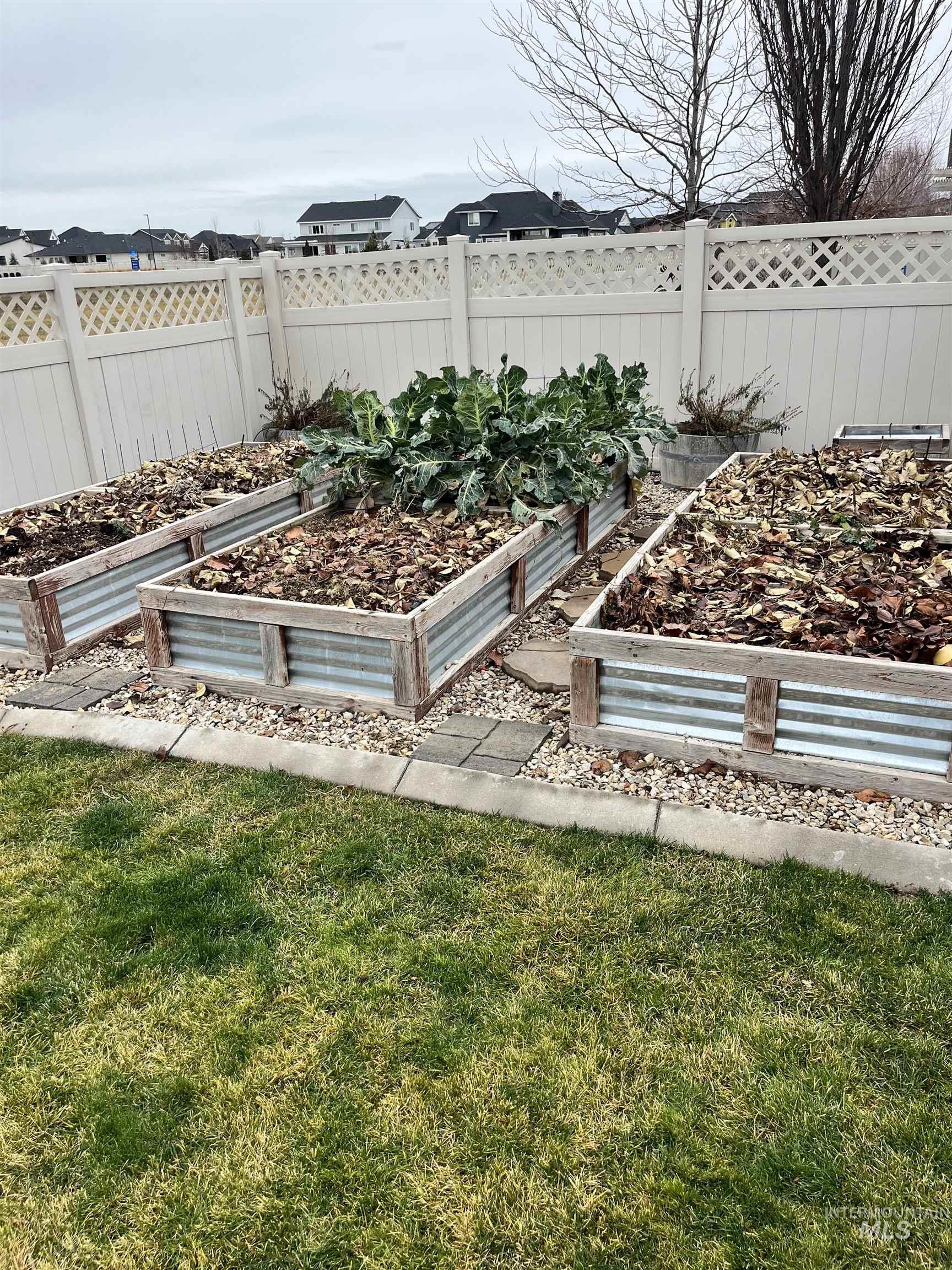 View of yard featuring a vegetable garden