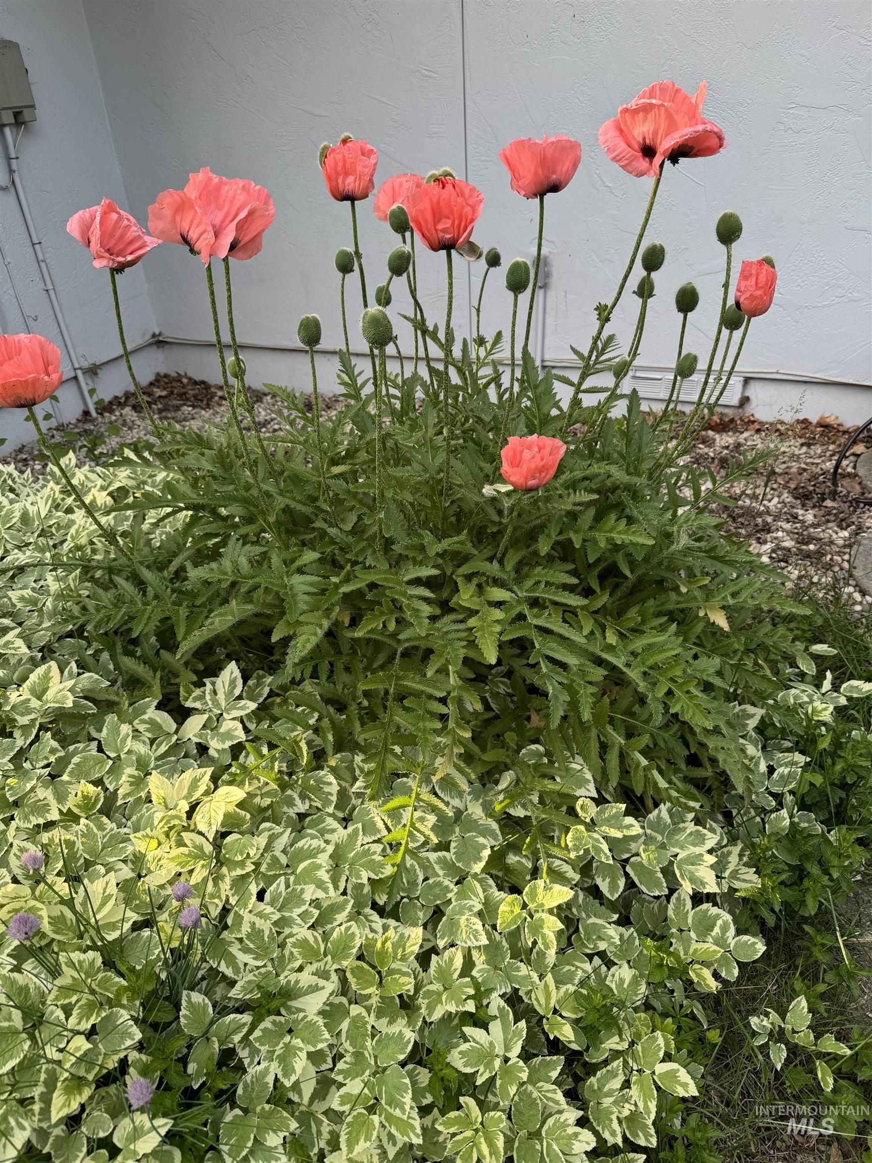Exterior view of stucco siding
