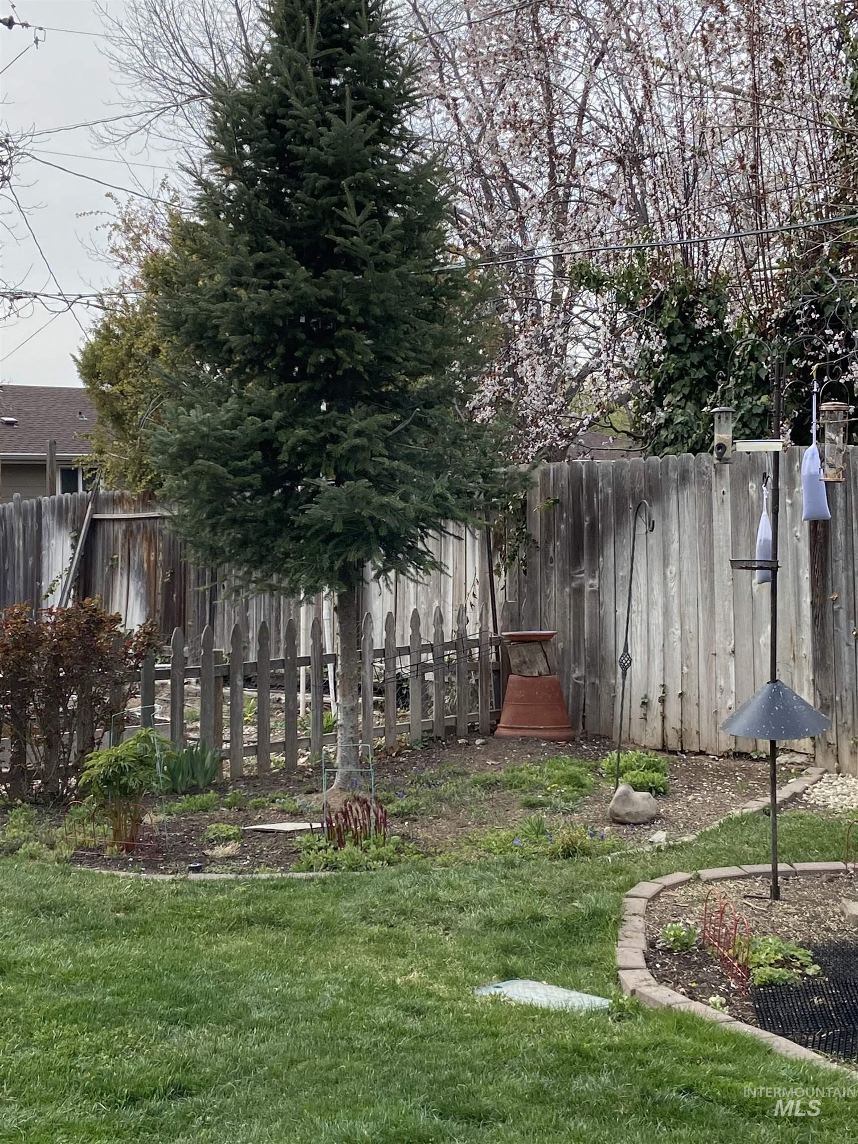 View of fenced backyard