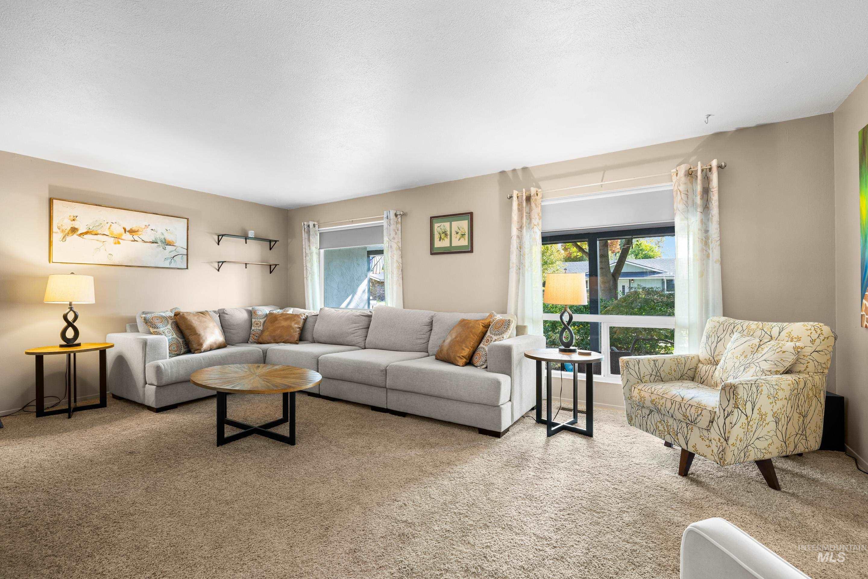 Carpeted living room featuring plenty of natural light