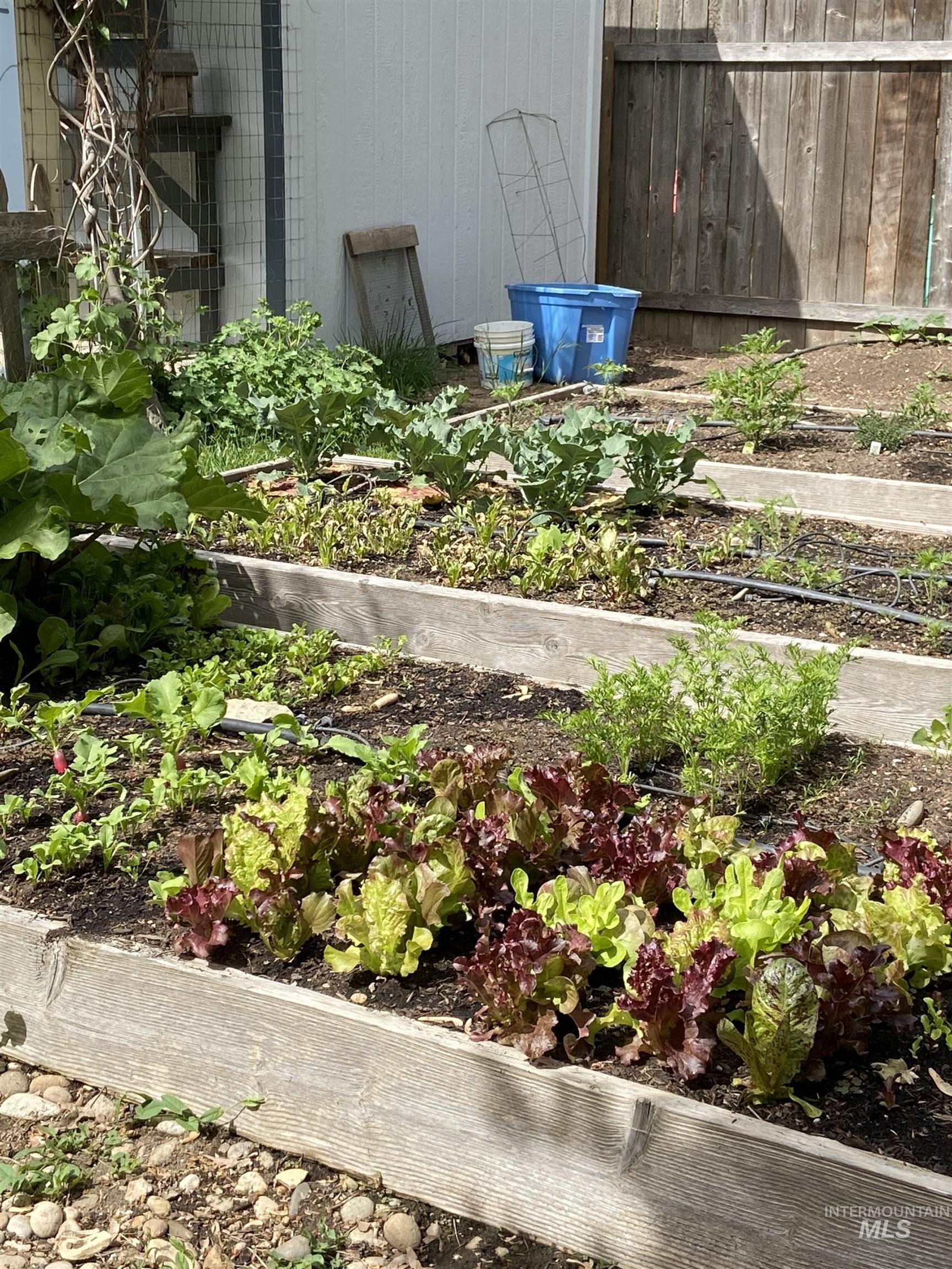 Exterior view of a garden