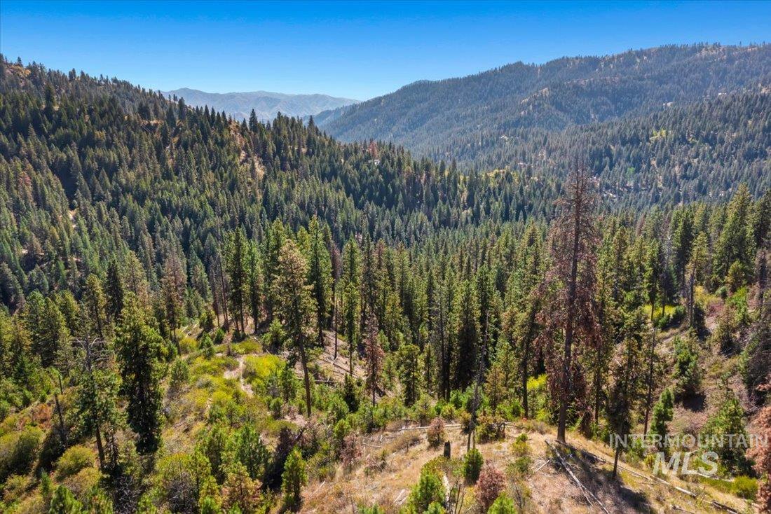 Boise National Forest aerial view of subject property