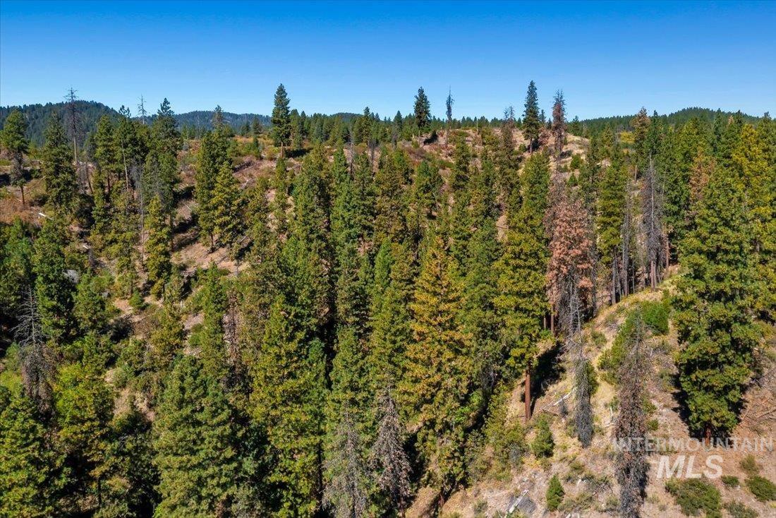 Boise National Forest aerial view of subject property