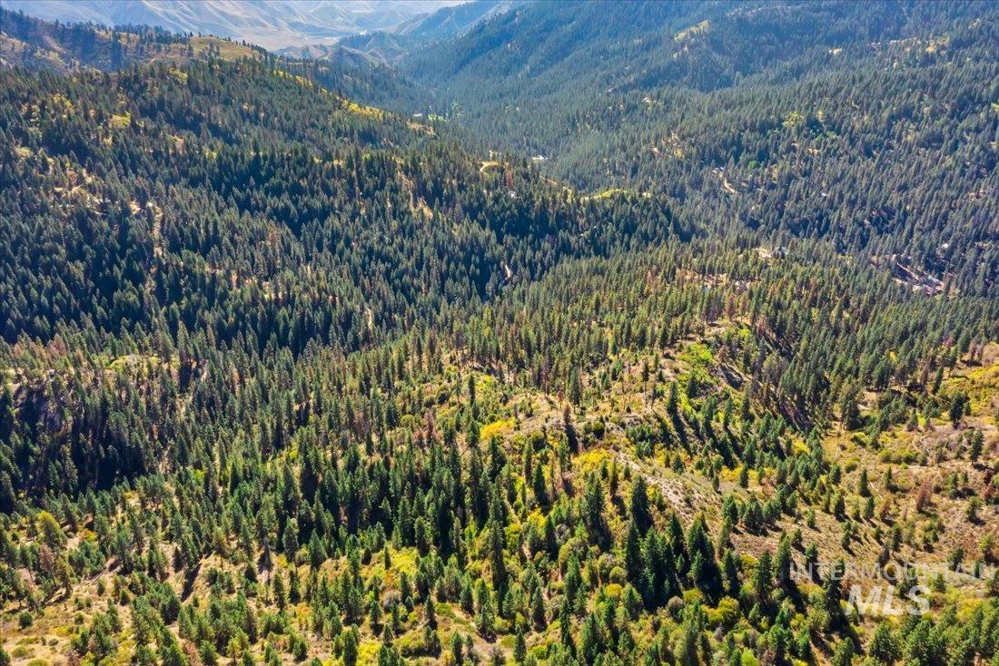 Boise National Forest aerial view of subject property