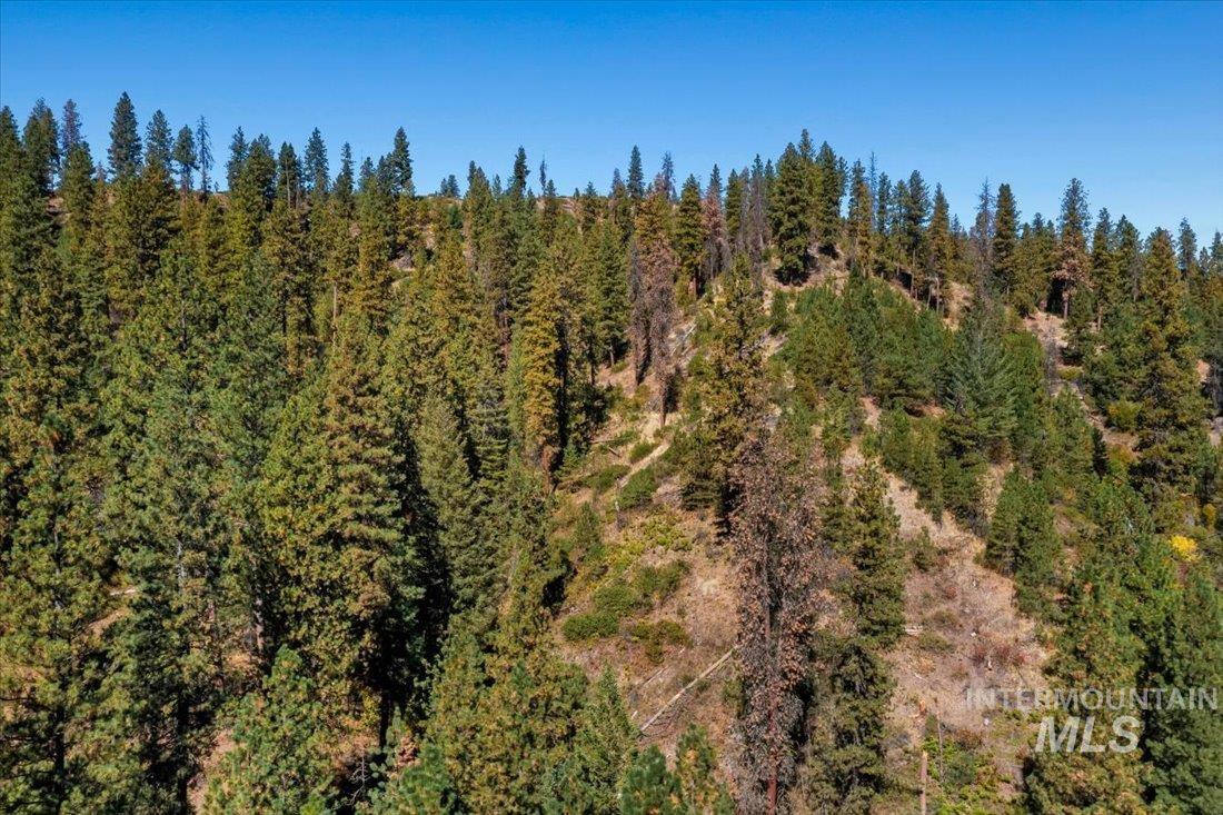 Boise National Forest aerial view of subject property