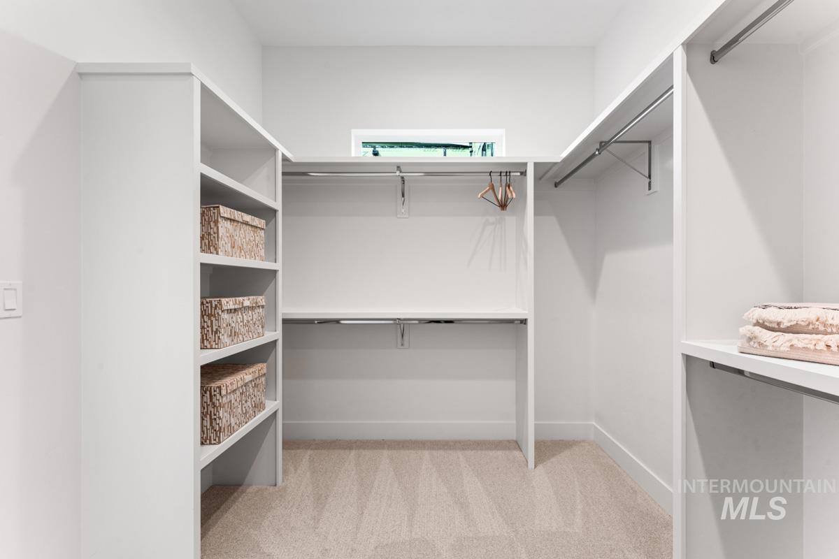 Walk in closet with light carpet