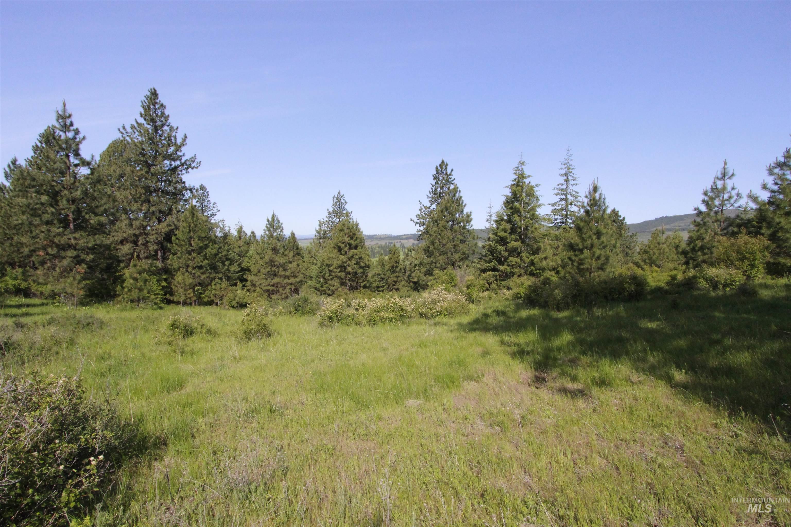 TBD Smokey Bear Ln