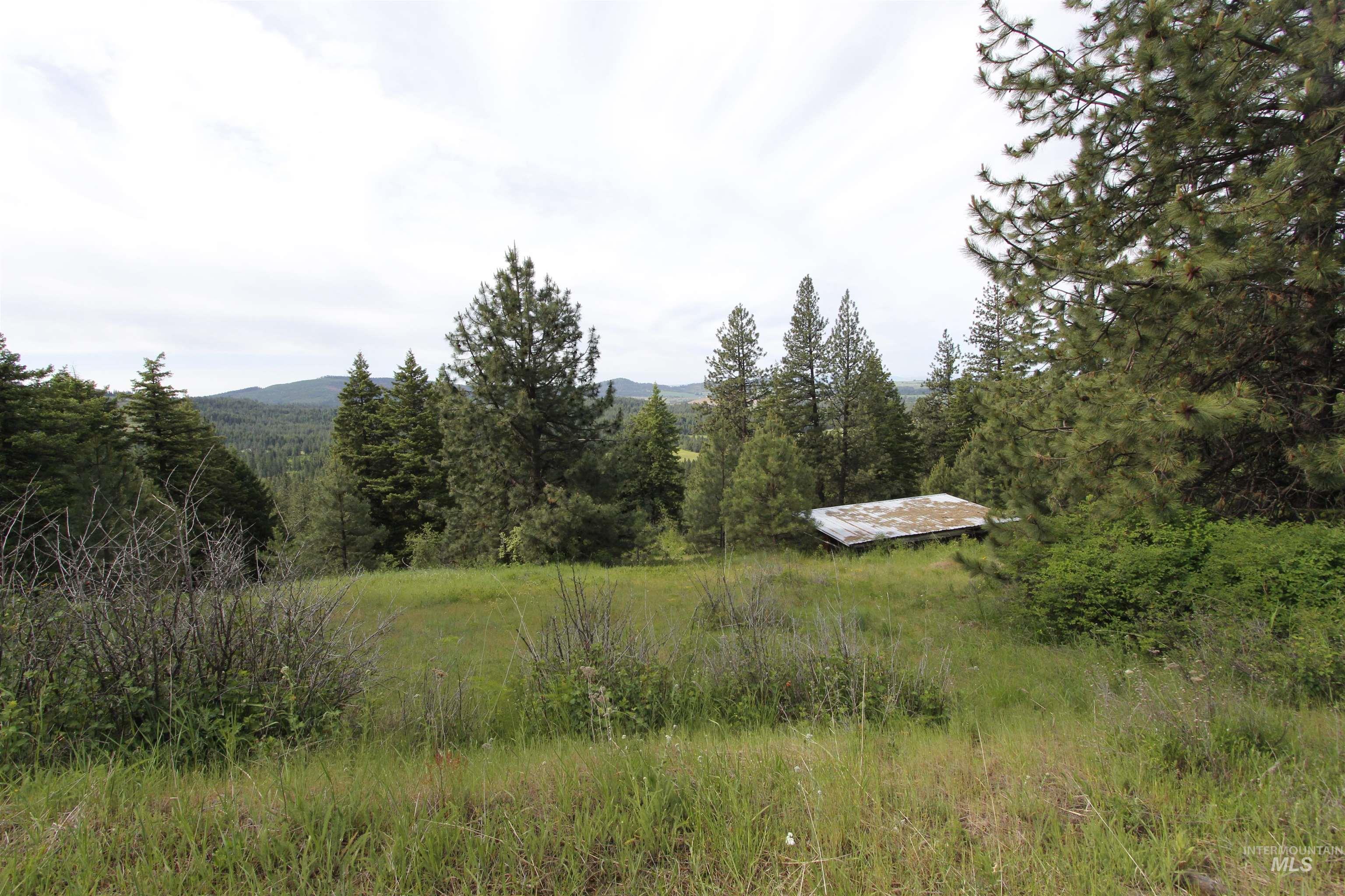 TBD Smokey Bear Ln