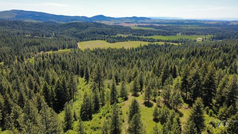 TBD Smokey Bear Ln Kendrick ID 83537