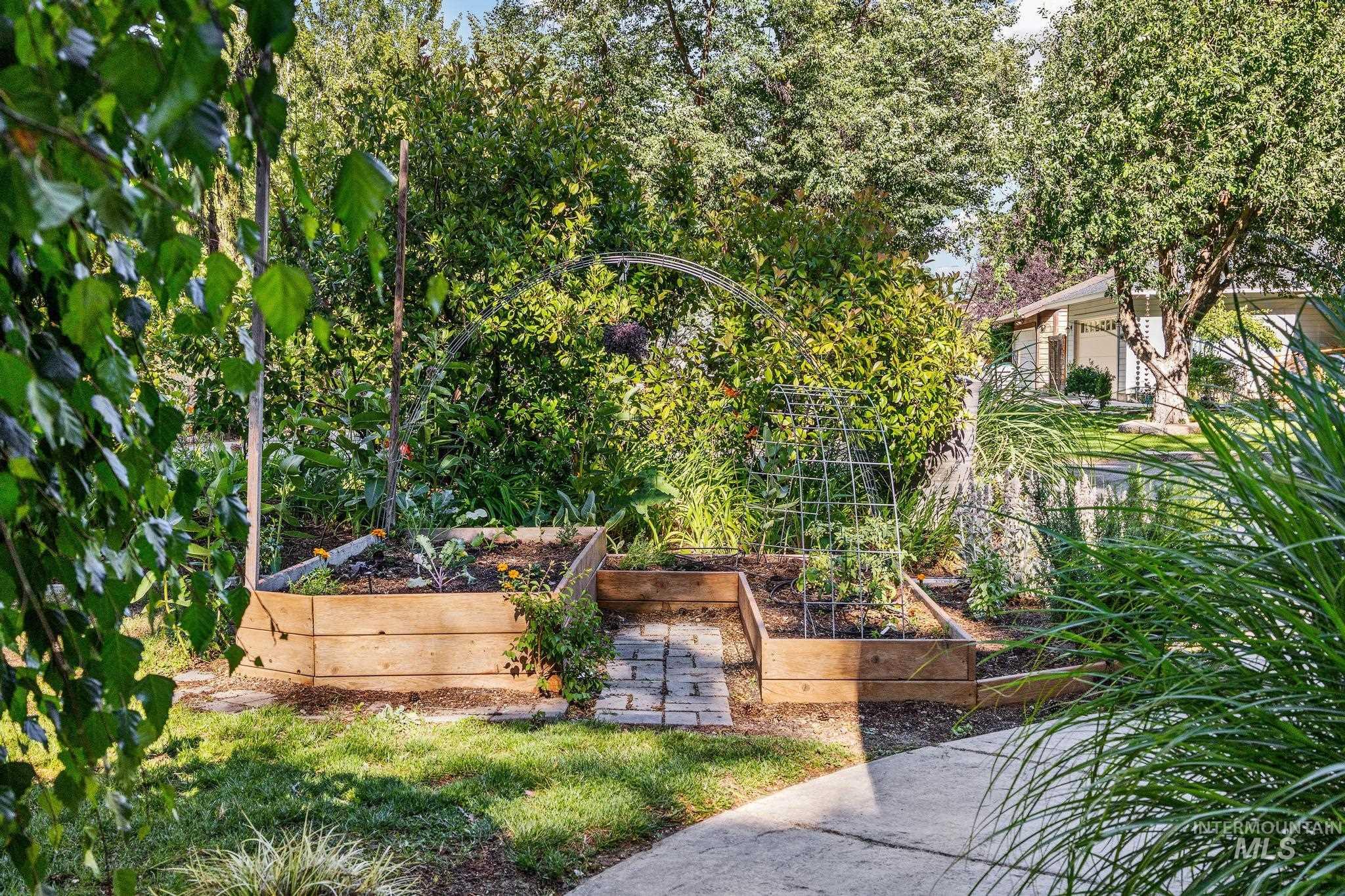 Outdoor garden area featuring multiple raised wooden planter boxes