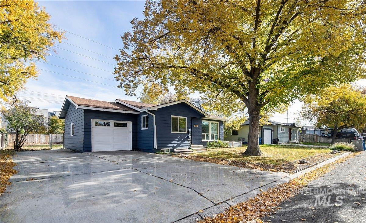 Single story home with concrete driveway and an attached garage