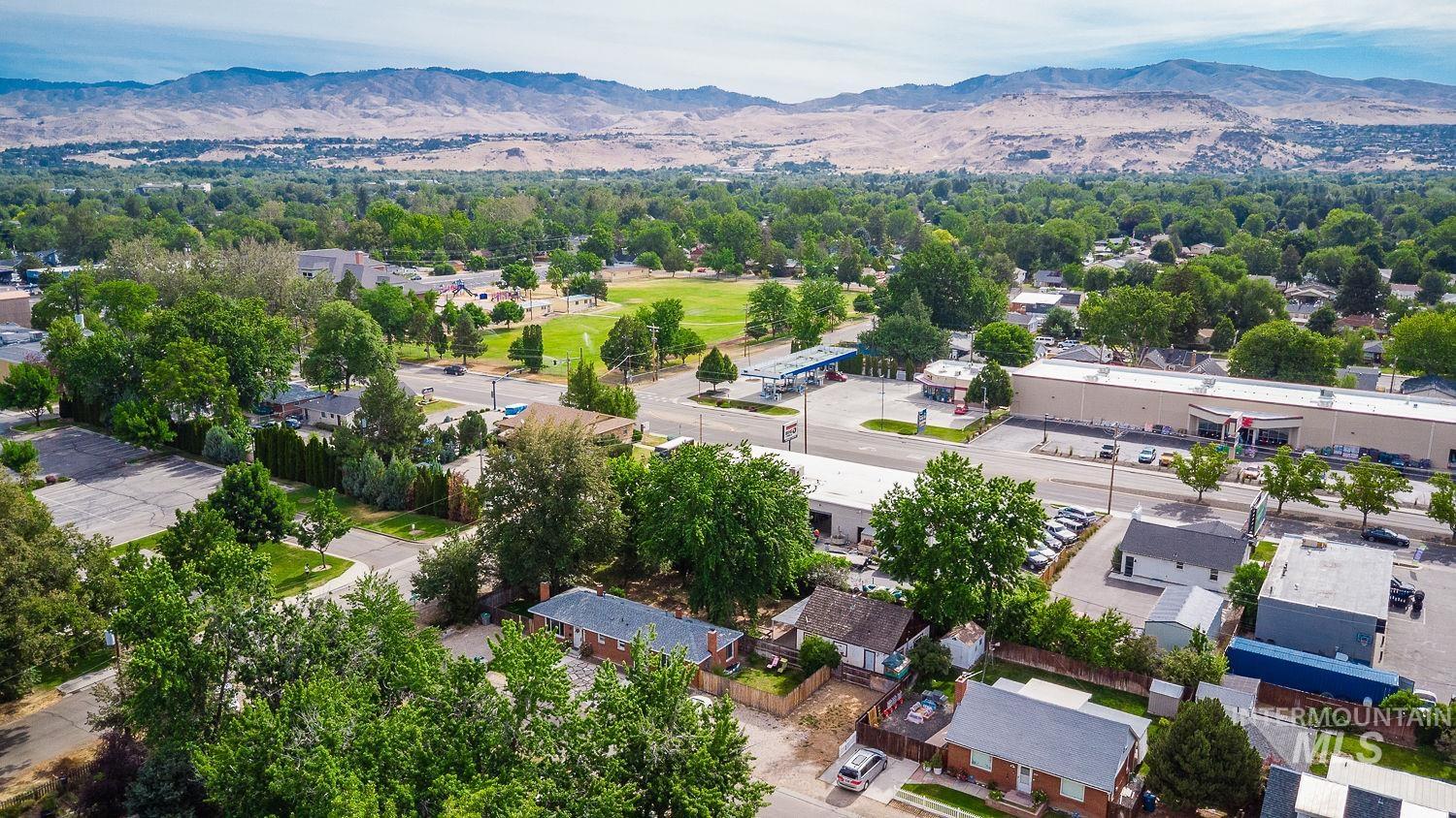 Expansive neighborhood featuring mature trees, residential properties, commercial establishments, and a park, all set against a distant mountainous backdrop