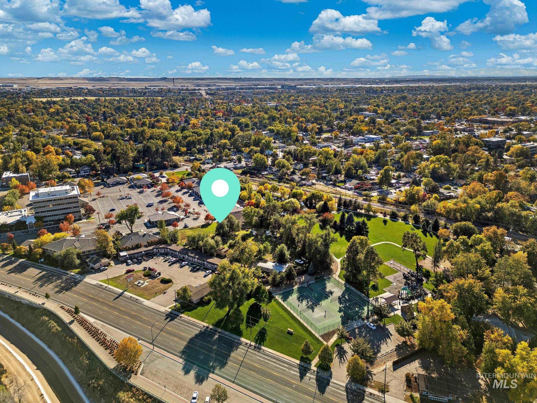 Drone / aerial view of a tree filled landscape