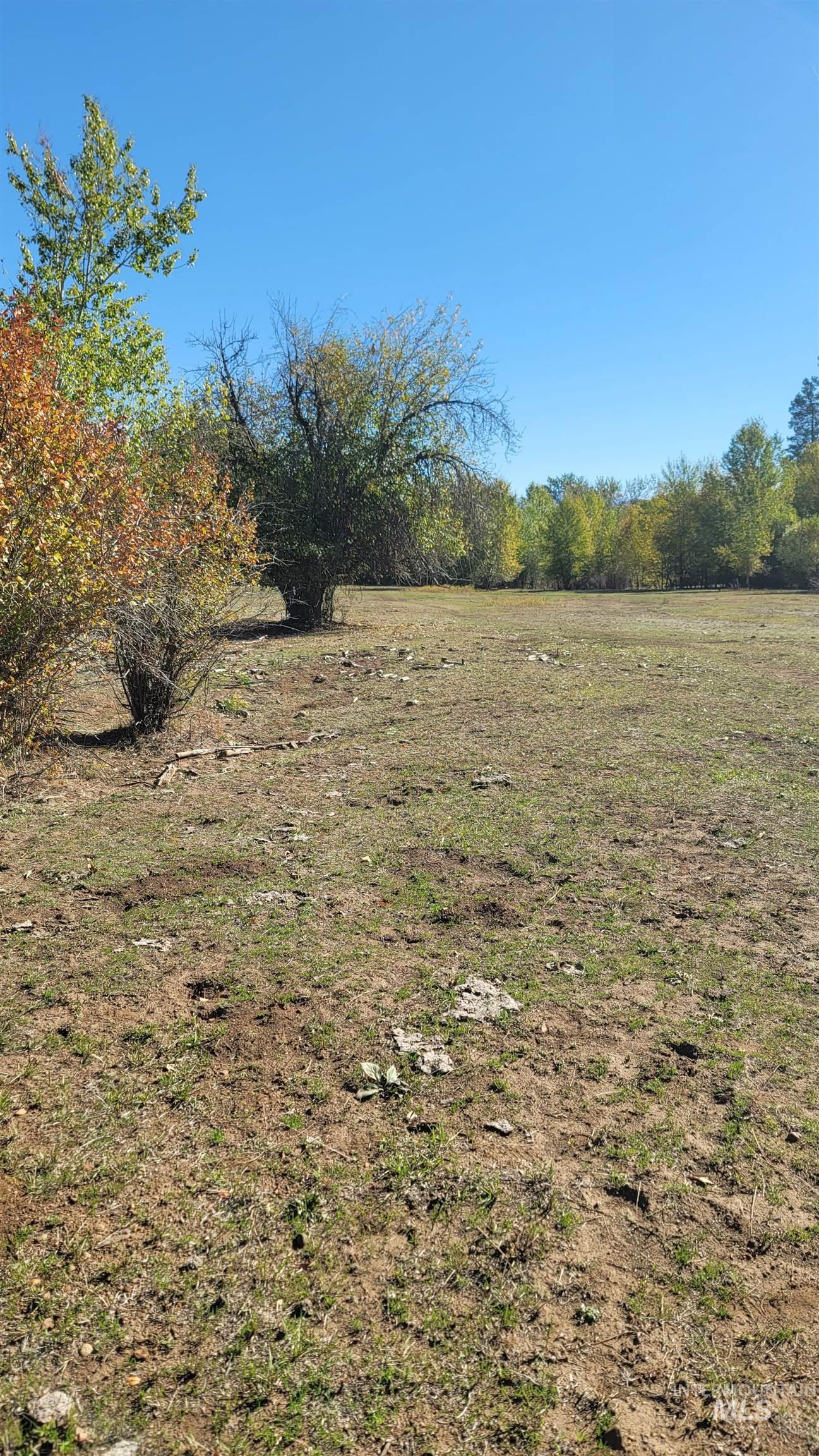 View of yard with a rural view