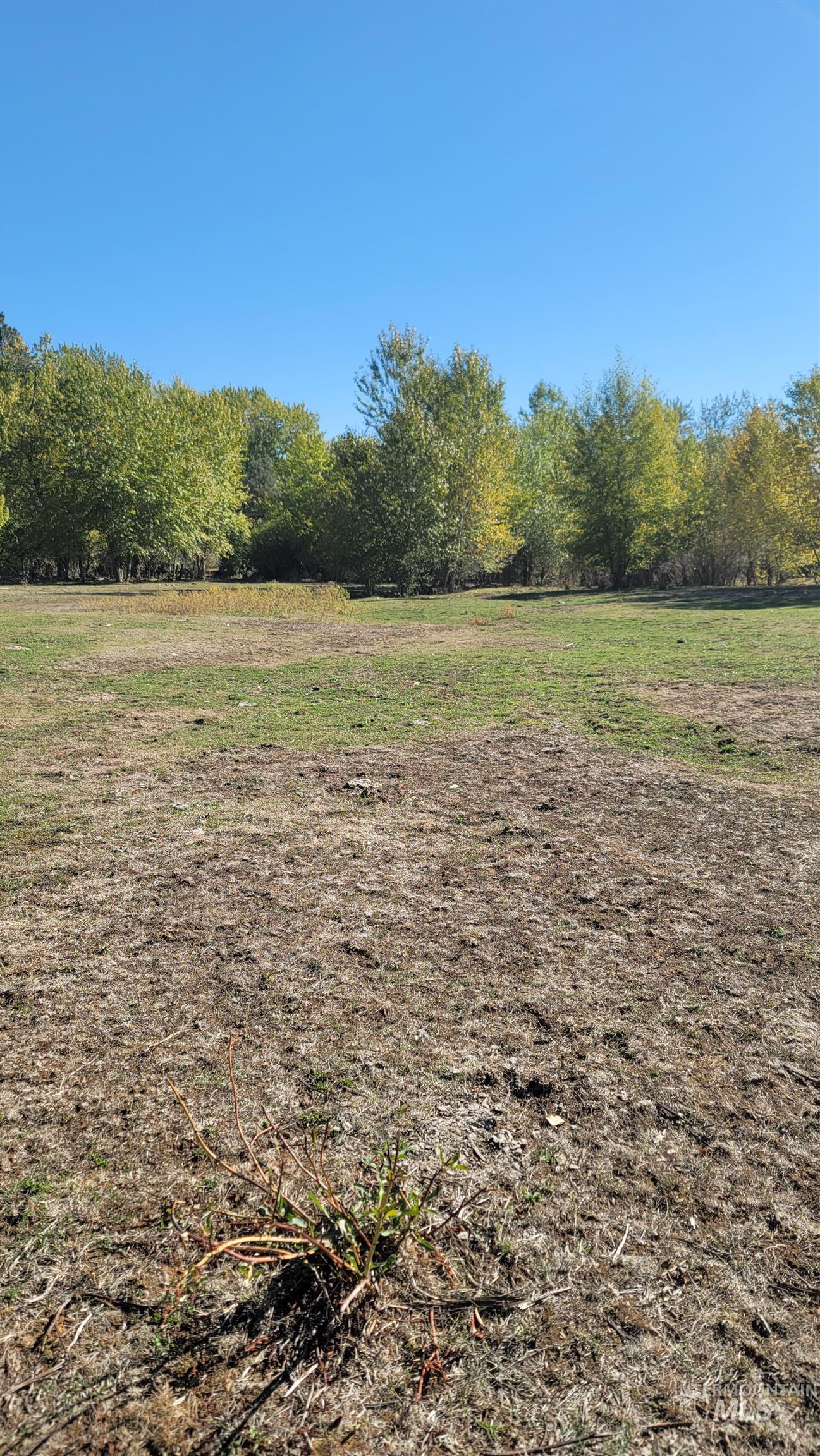 View of yard featuring a view of rural / pastoral area