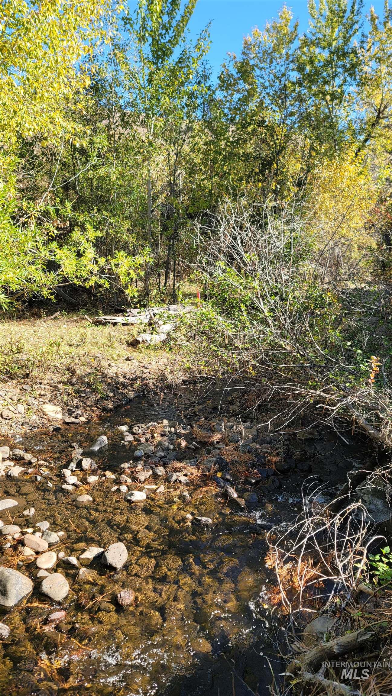View of undeveloped land