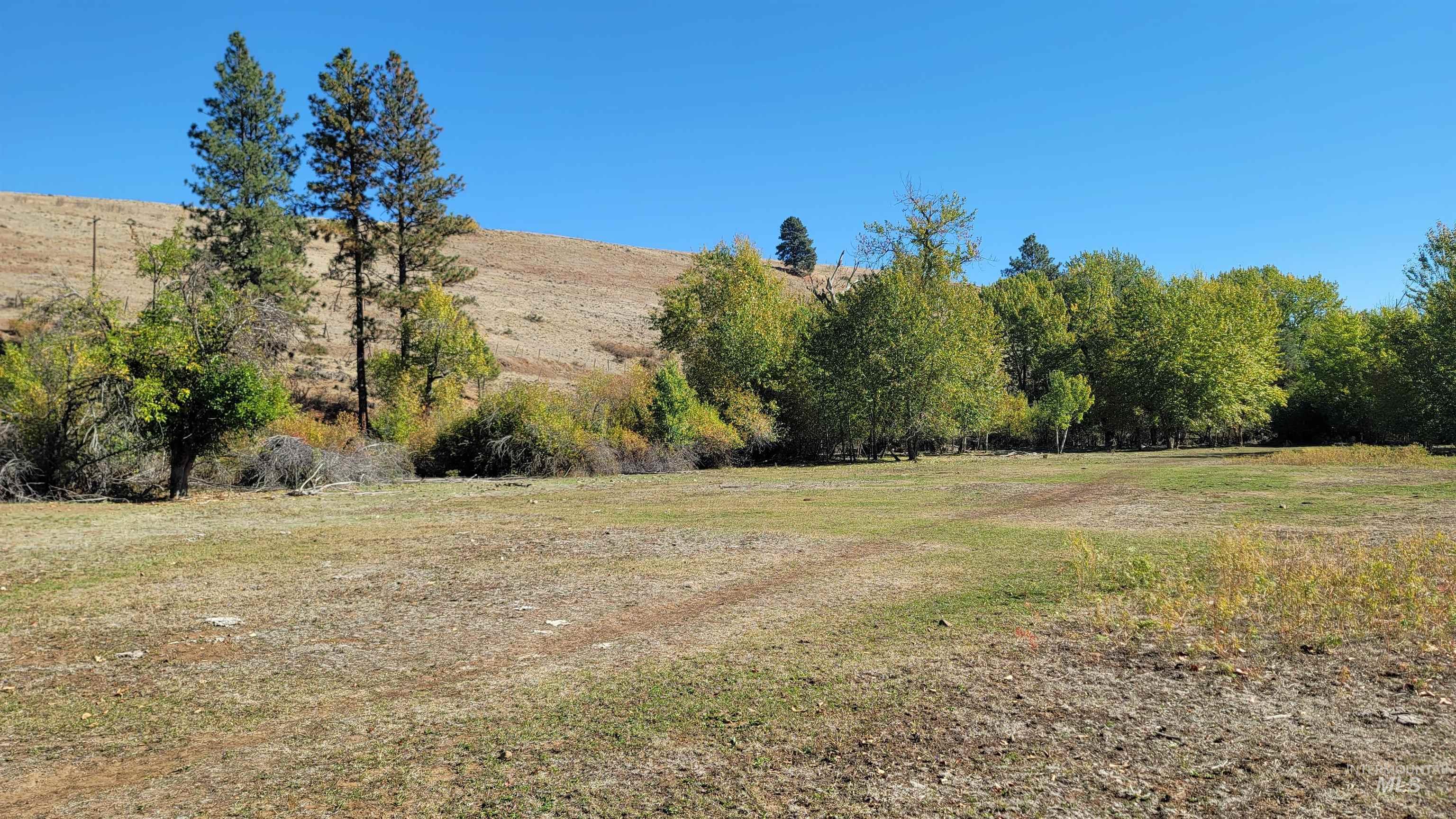 View of yard featuring a view of rural / pastoral area