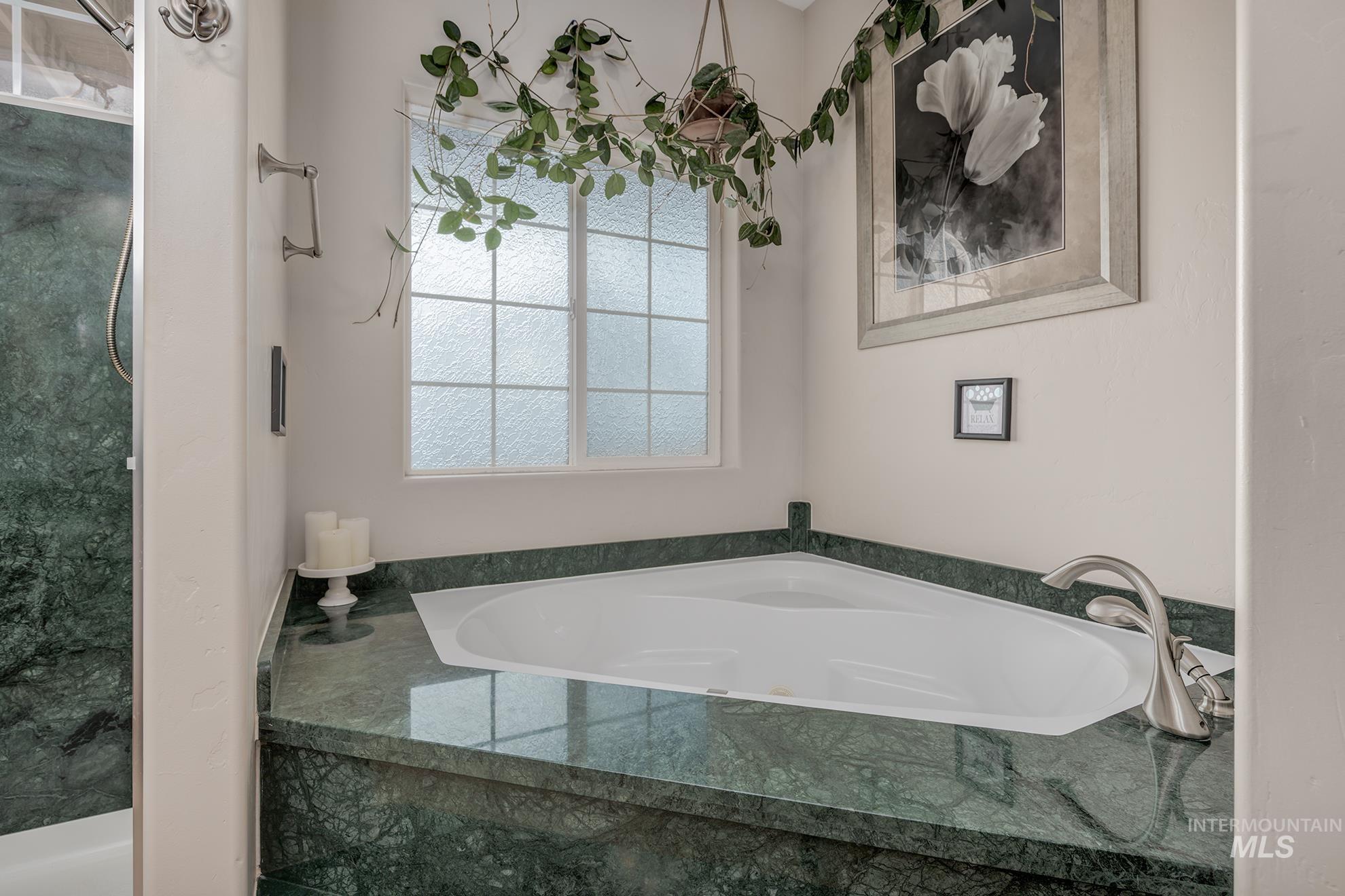 Master bathroom featuring a garden soaker tub