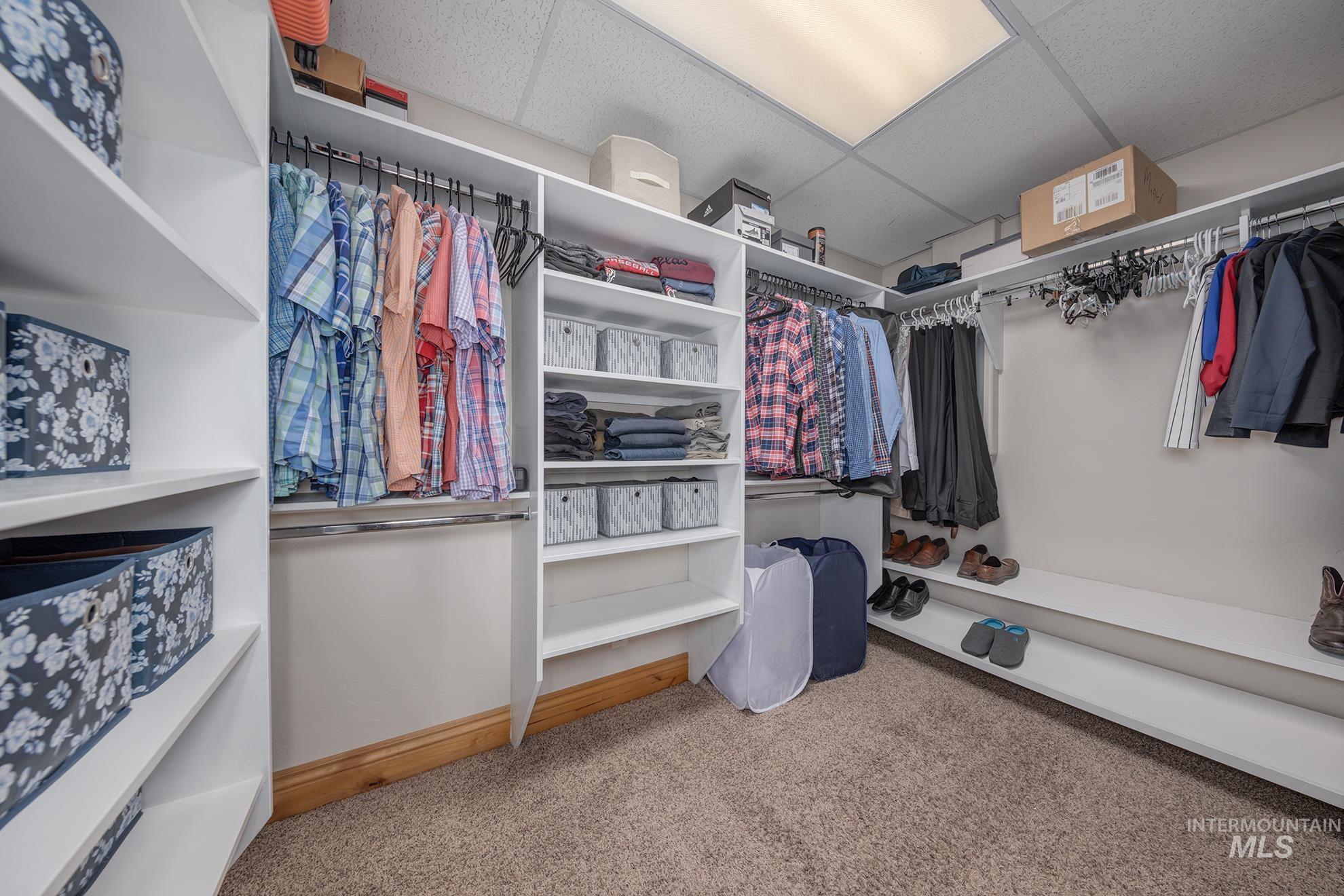 Walk in closet with built-in shelving and light colored carpet