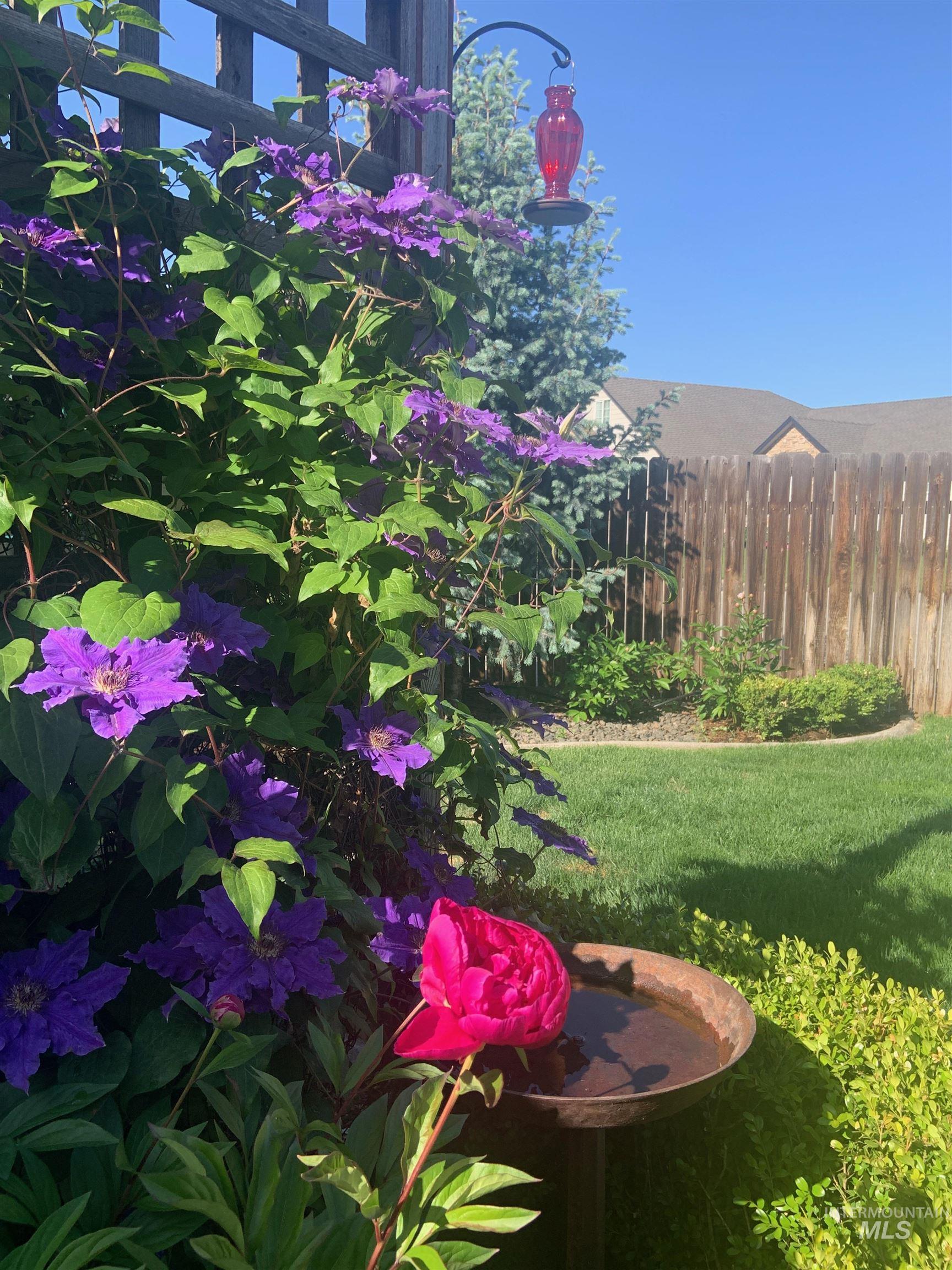 Historic Picture of Gardens in Bloom.