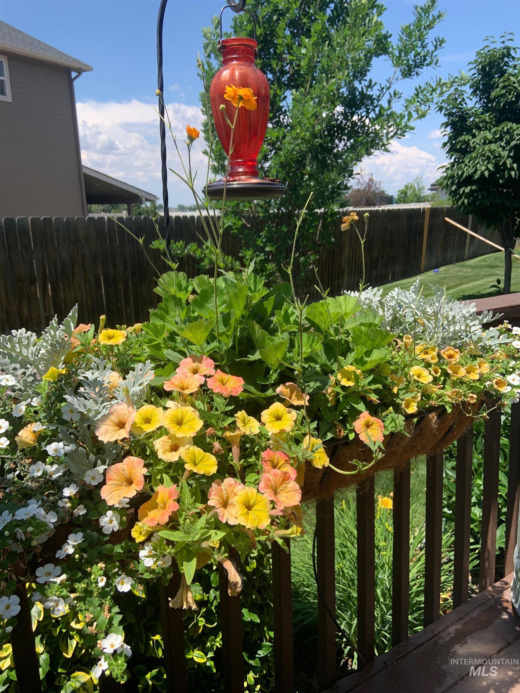 Historic Picture of Gardens in Bloom.