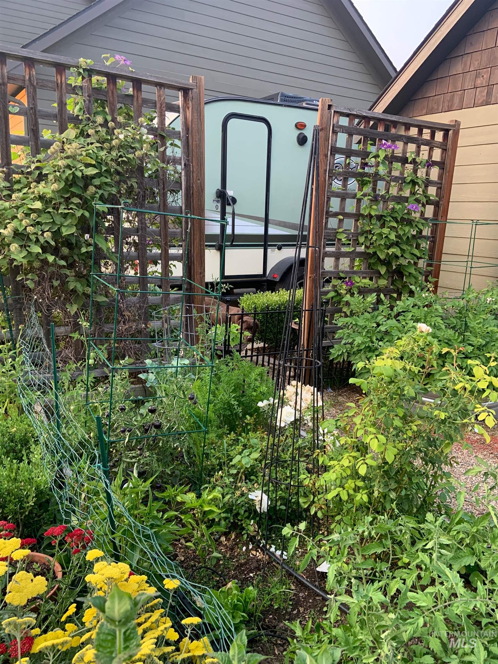 Historic Picture of Gardens in Bloom.