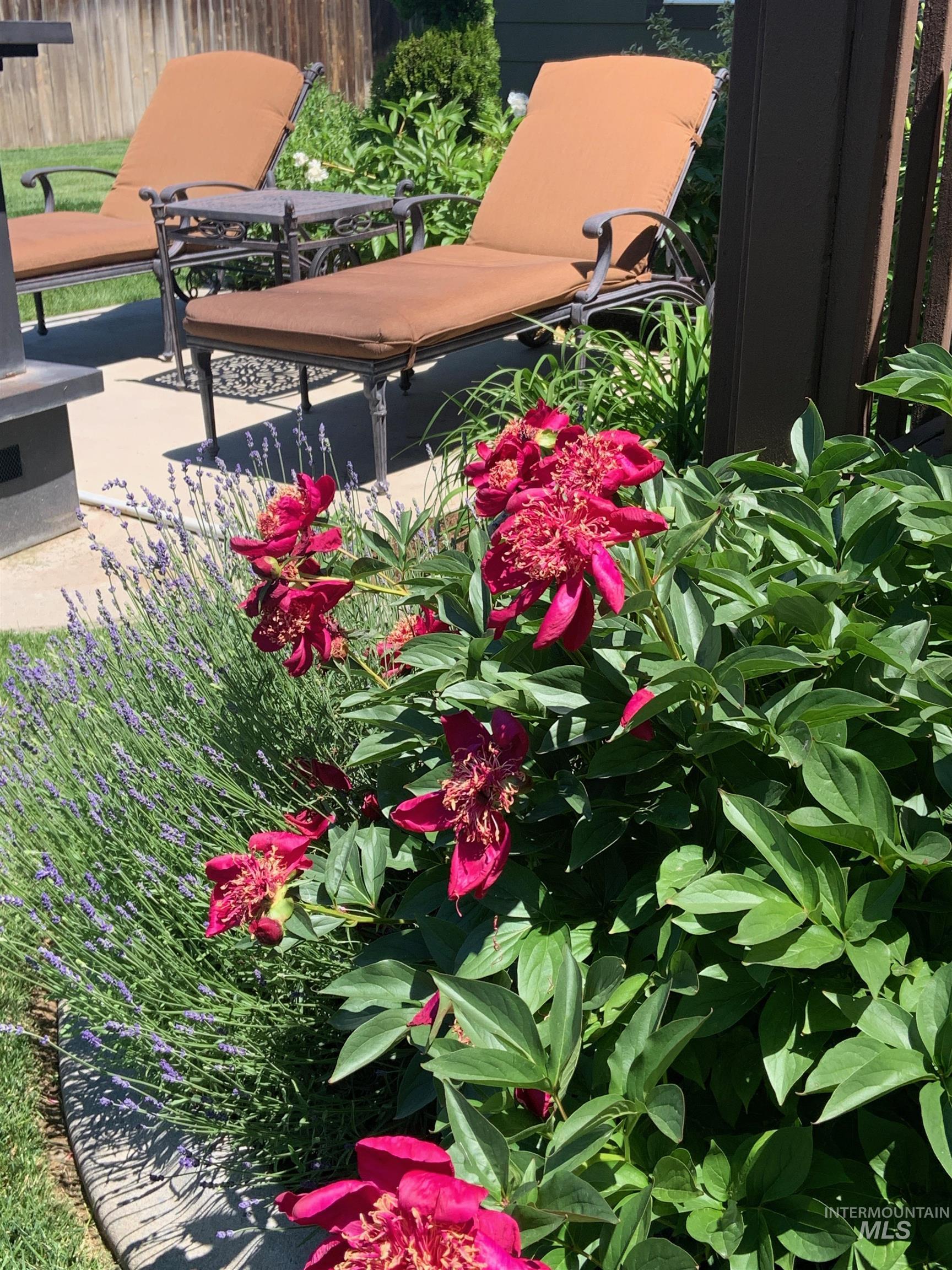 Historic Picture of Gardens in Bloom.