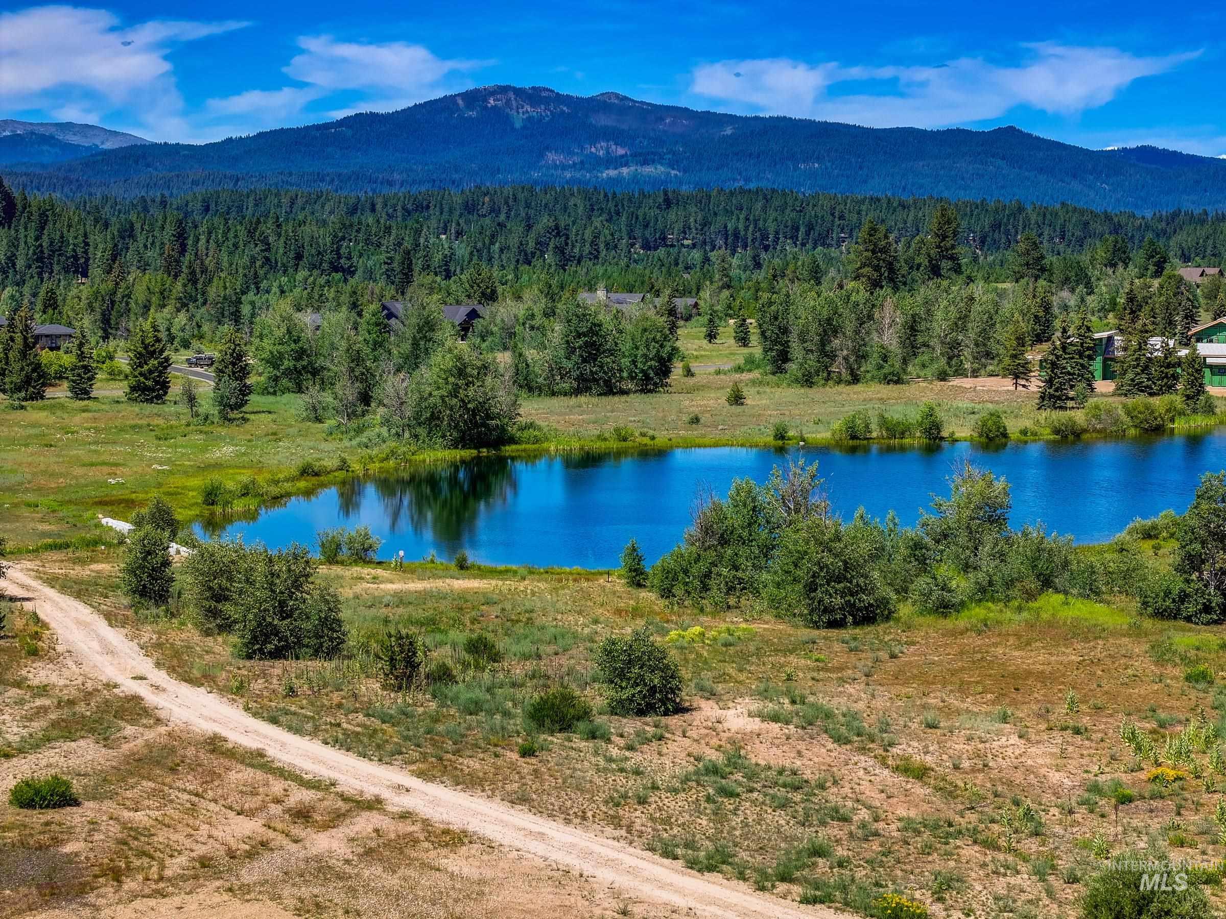 Water view with a forest and mountains