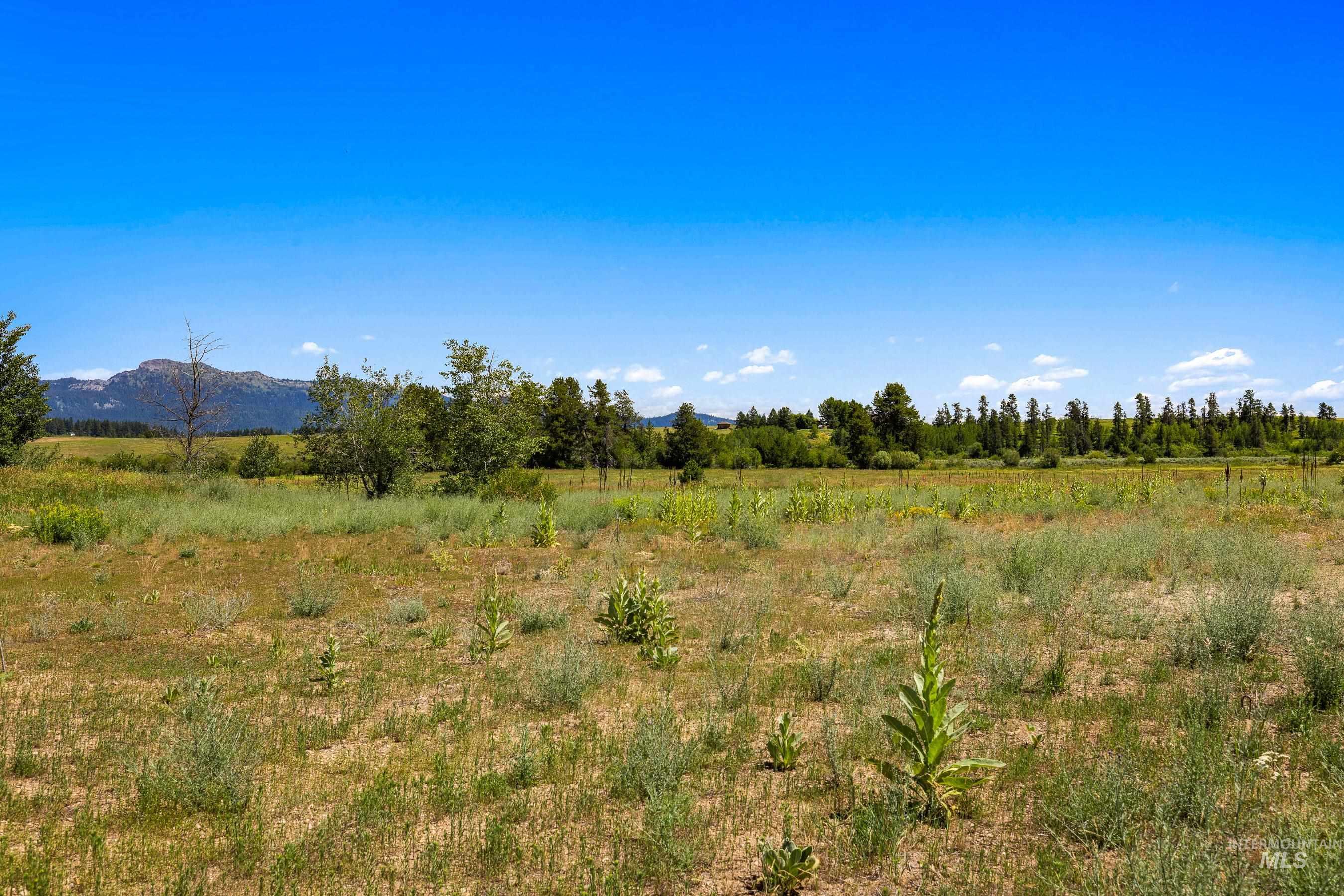 View of local wilderness with rural landscape and a mountainous background