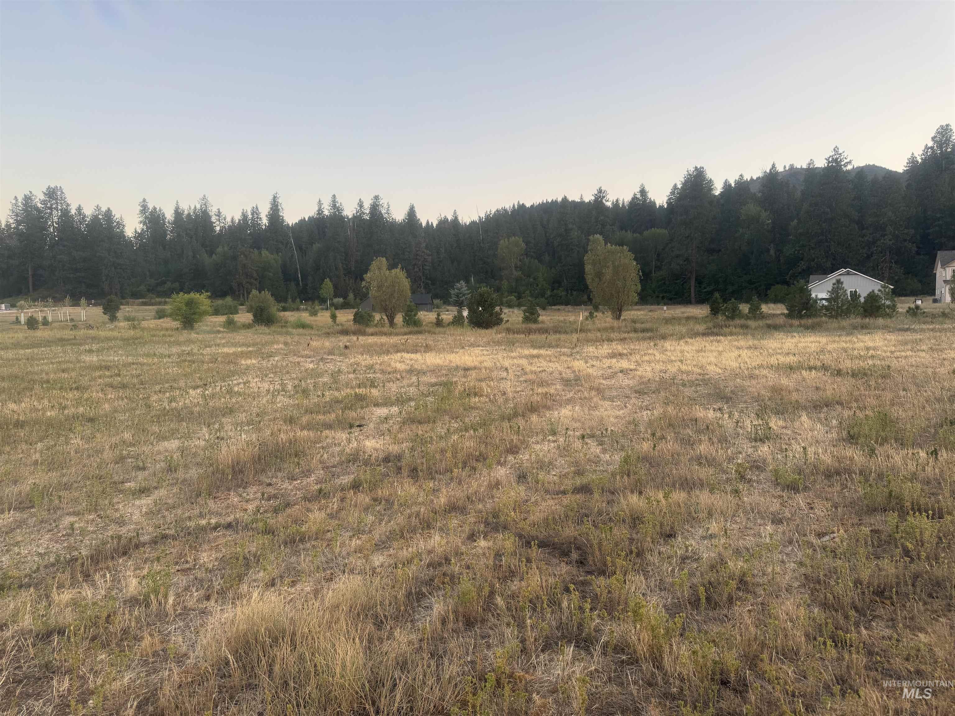 View of wooded area featuring a view of rural / pastoral area