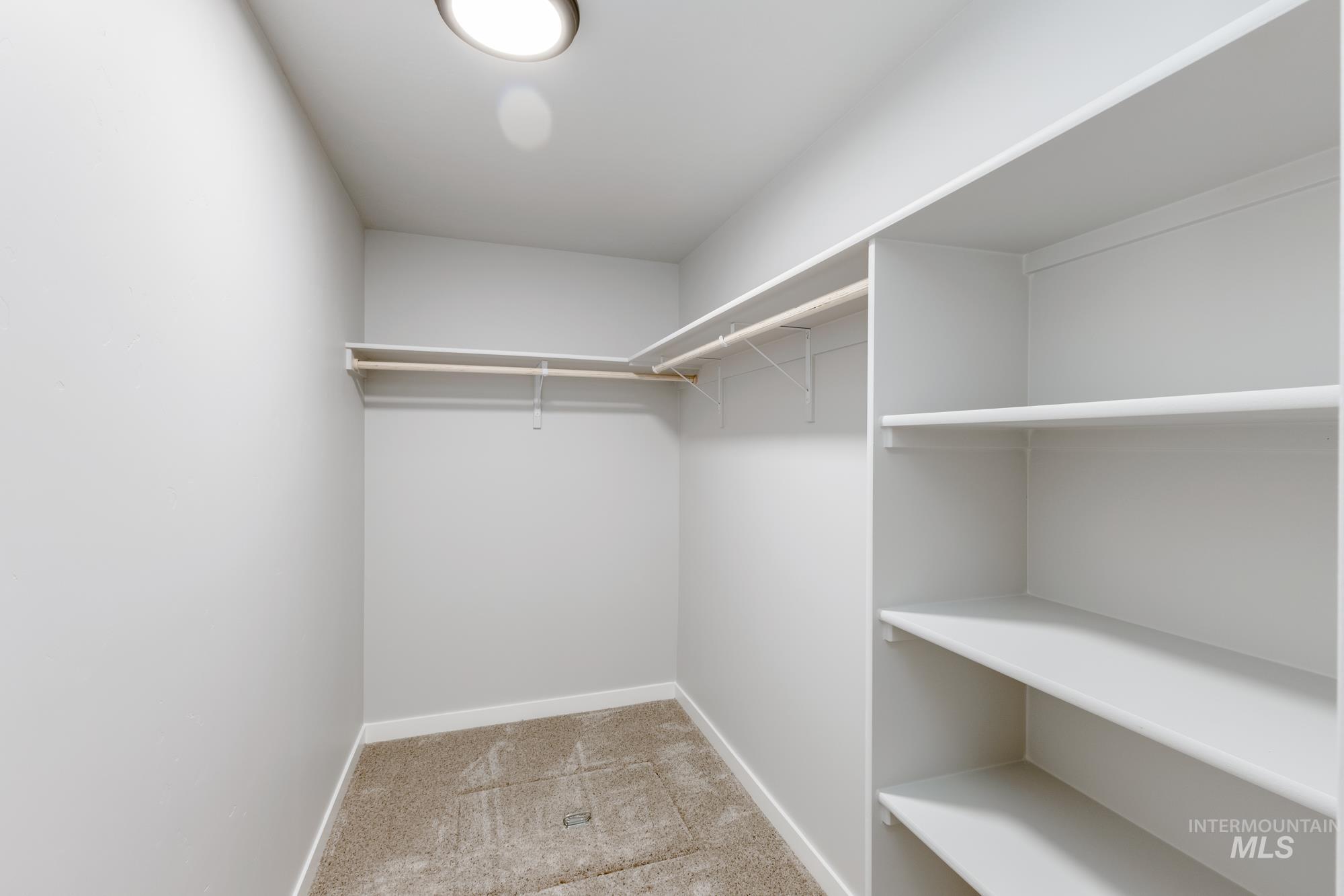 Spacious closet with light carpet