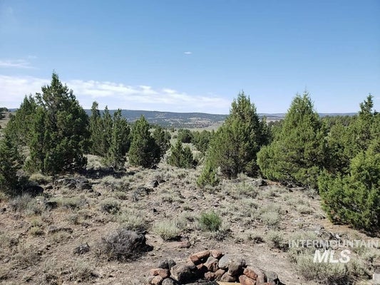 TRACT 44 TRIANGLE RANCH, MURPHY, ID 83650 - Image eaab3a0532f0cdb6feb0b7780ff09eeb/4012994898