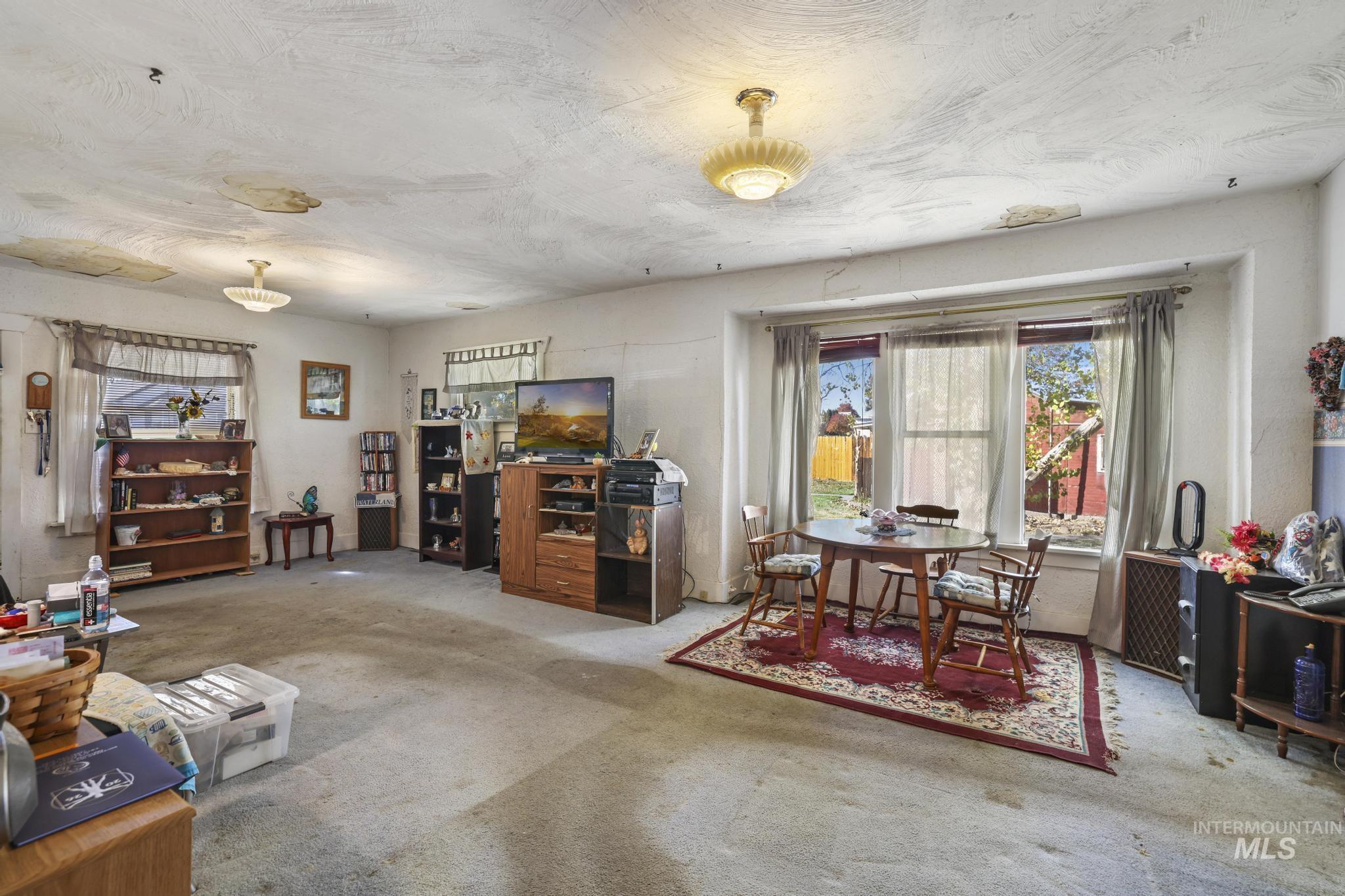 Living room with carpet flooring